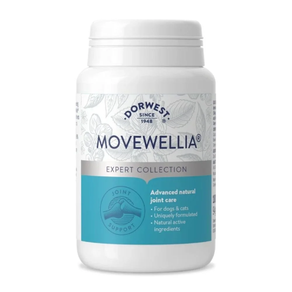 Front label view of a white plastic bottle of Dorwest MoveWellia tablets for dogs, featuring blue branding from the Expert Collection for advanced natural joint care.