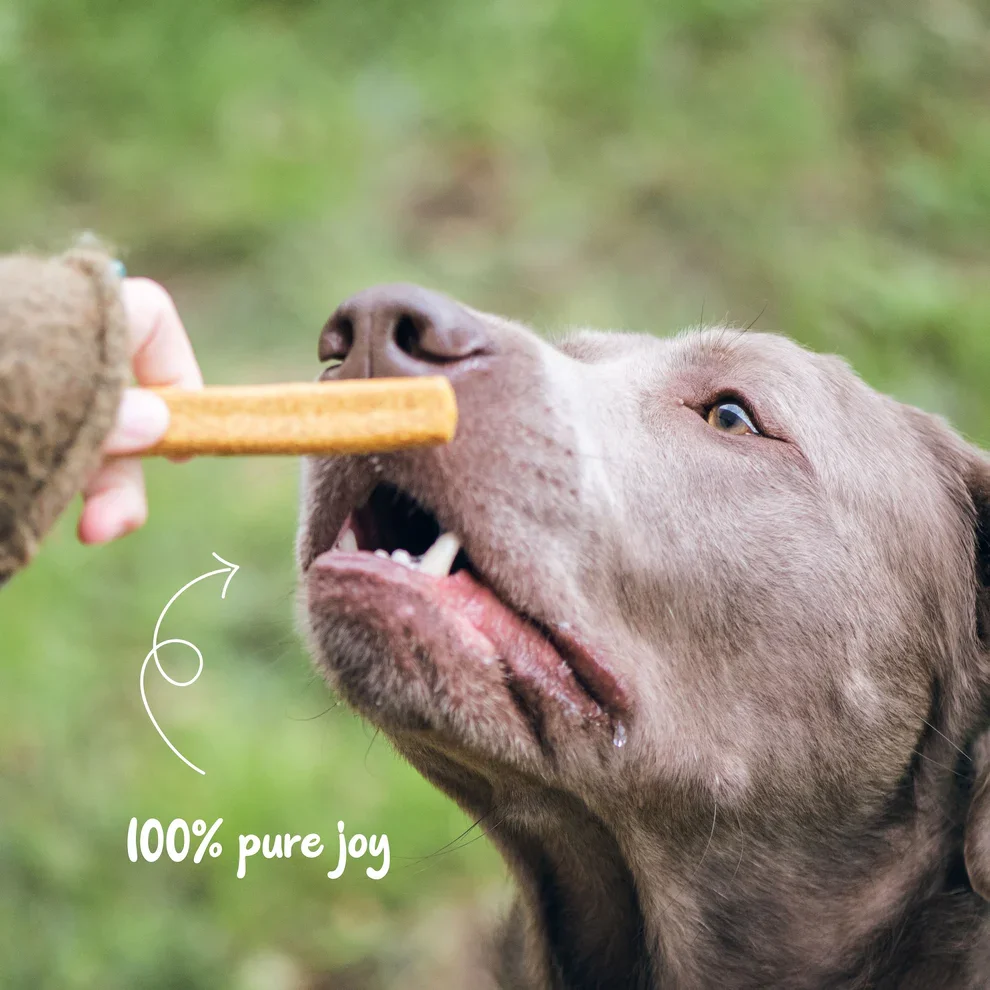 Cruncheez Cheese and Bacon Biscuits 3.webp