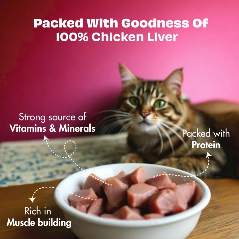 A fluffy tabby cat looking into a white ceramic bowl filled with cubed freeze-dried chicken liver treats.
