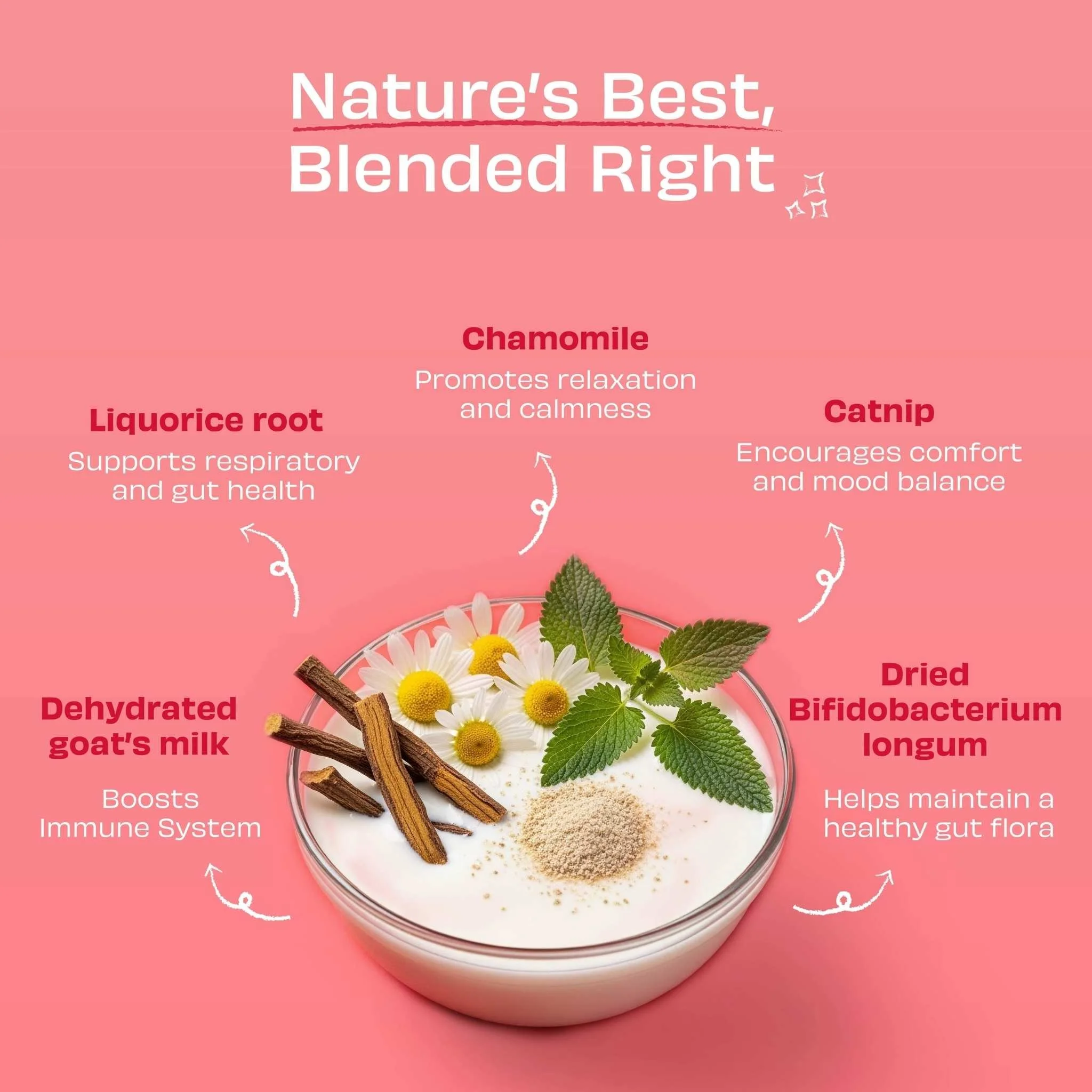 Infographic for Pawfect Nature’s Sip Goat Milk Calming Support for Cats featuring a bowl of milk topped with chamomile flowers, catnip, liquorice root, and probiotics