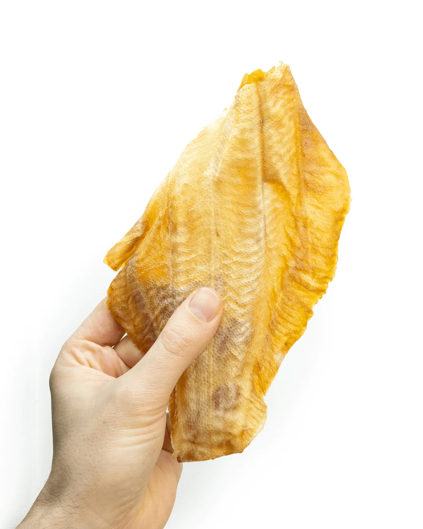 dried-plaice-fillets-4830031.webp