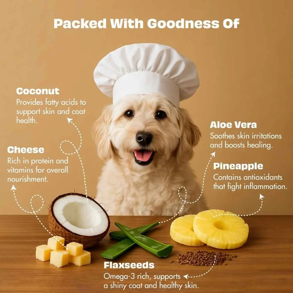 An infographic detailing the skin and coat formula cheese treats blended with coconut and pineapple