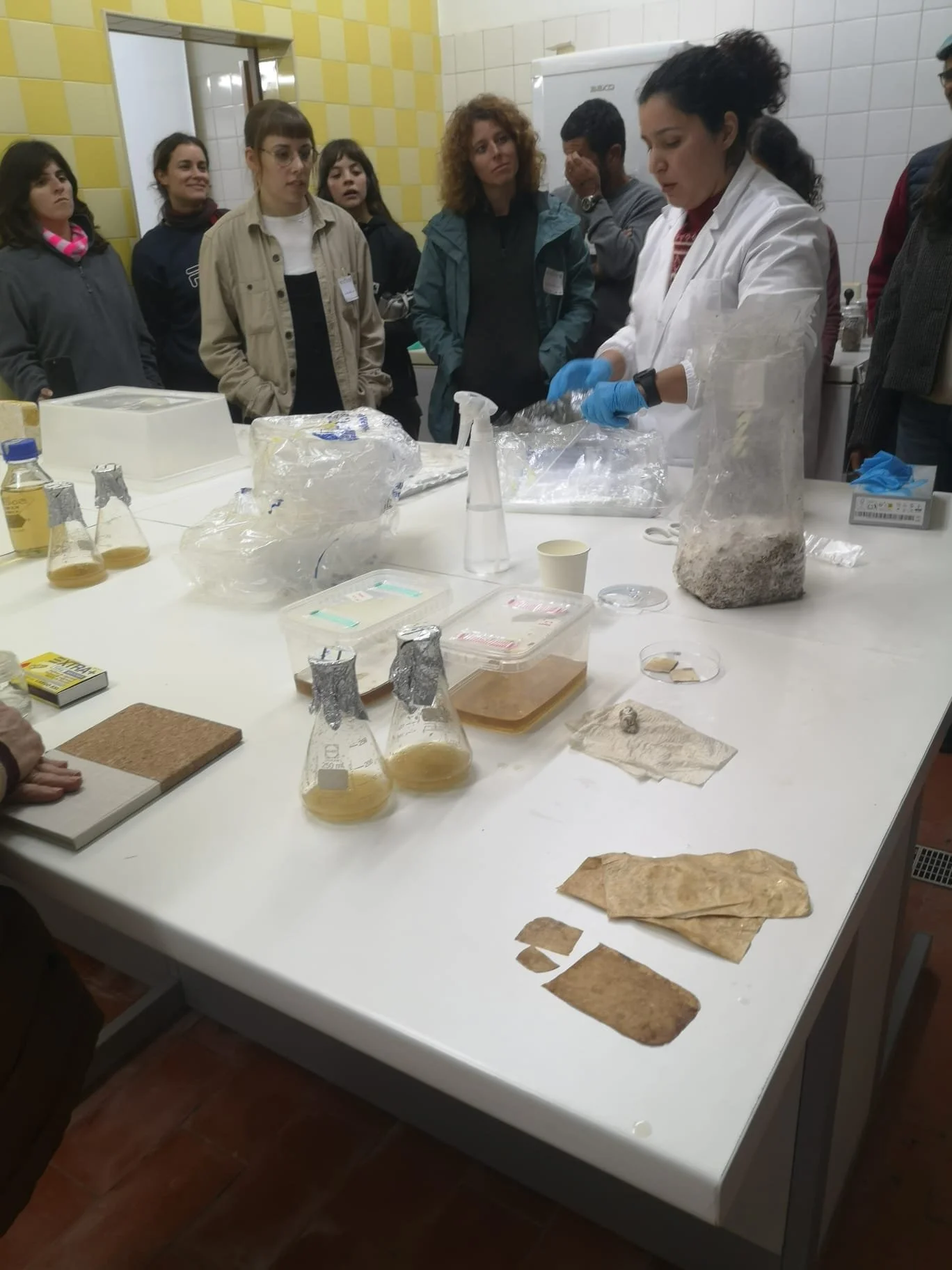 WhatsApp Image 2025-12-12 at 08.59.15.jpeg