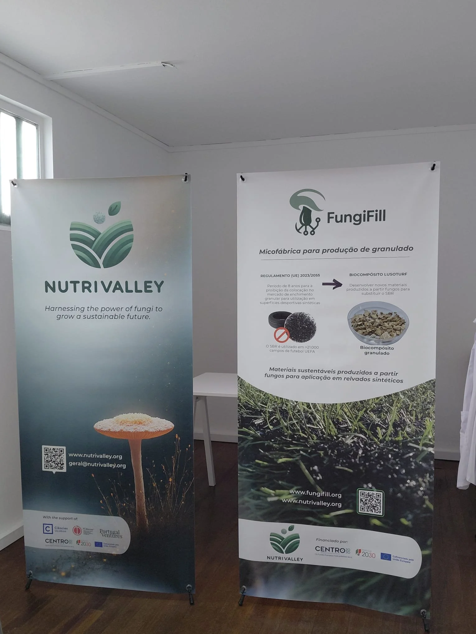 WhatsApp Image 2025-12-10 at 09.31.50.jpeg