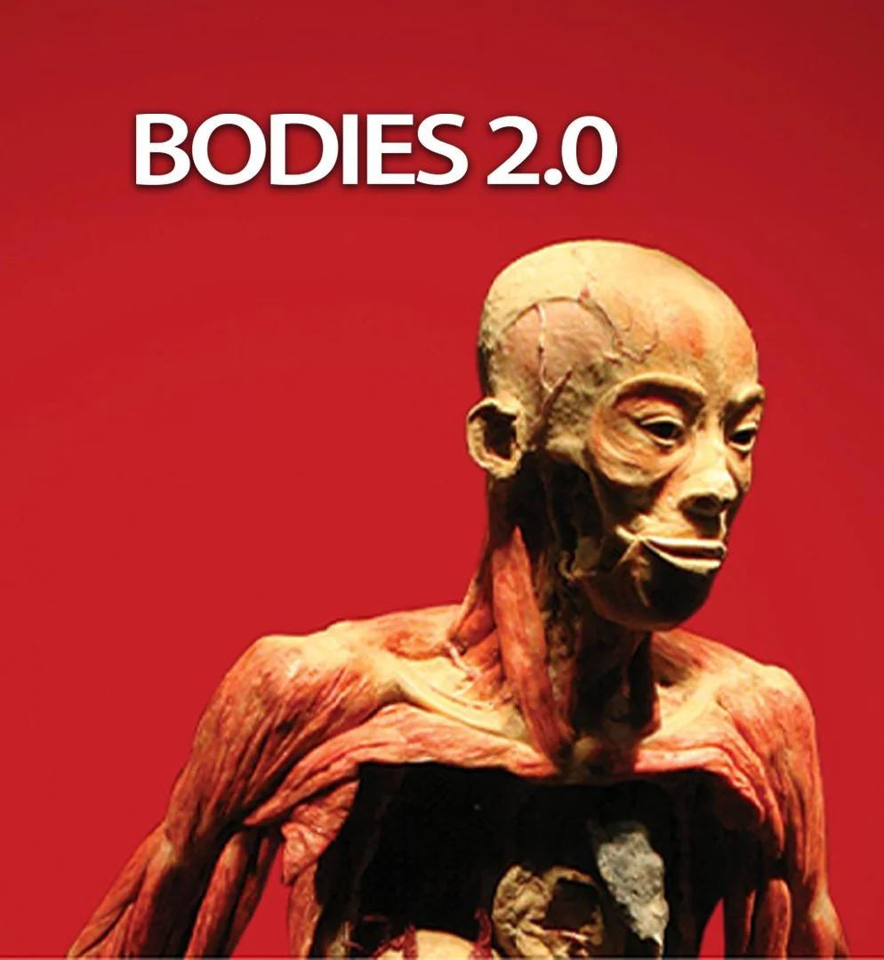 Bodies 2.0