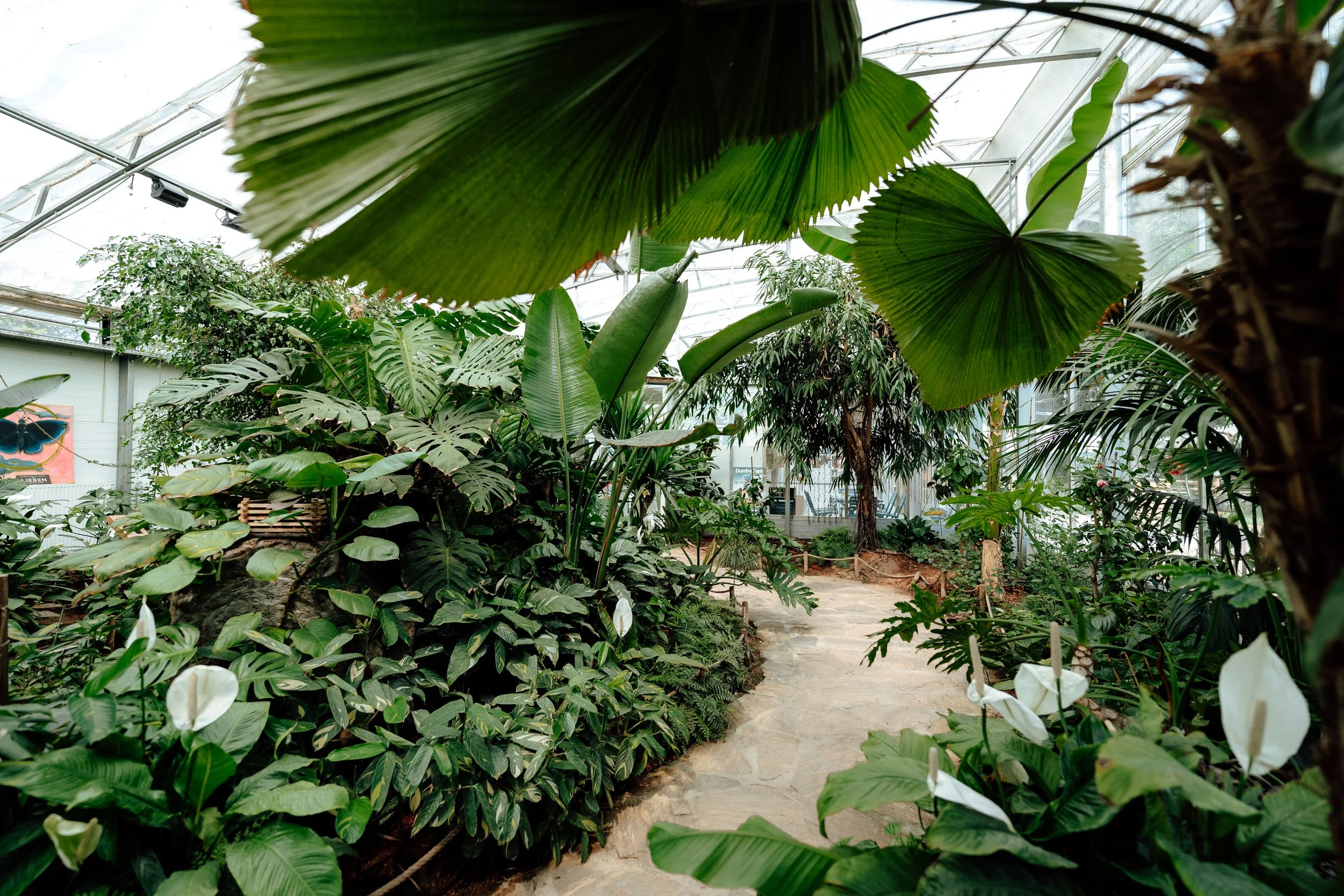 DumbaPark_046.jpg