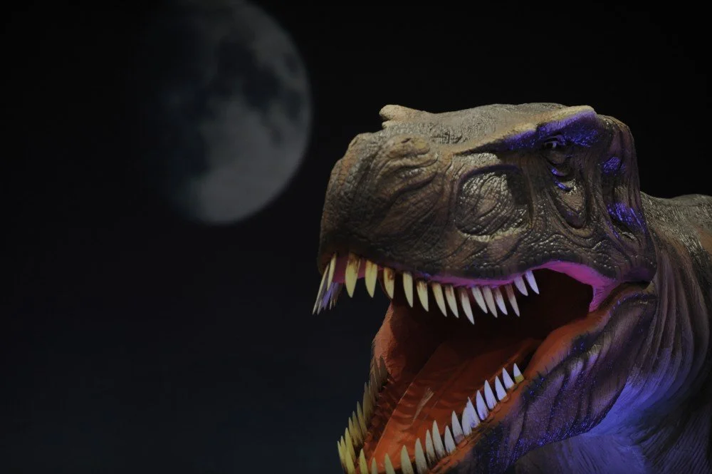 giganotosaurus.jpg