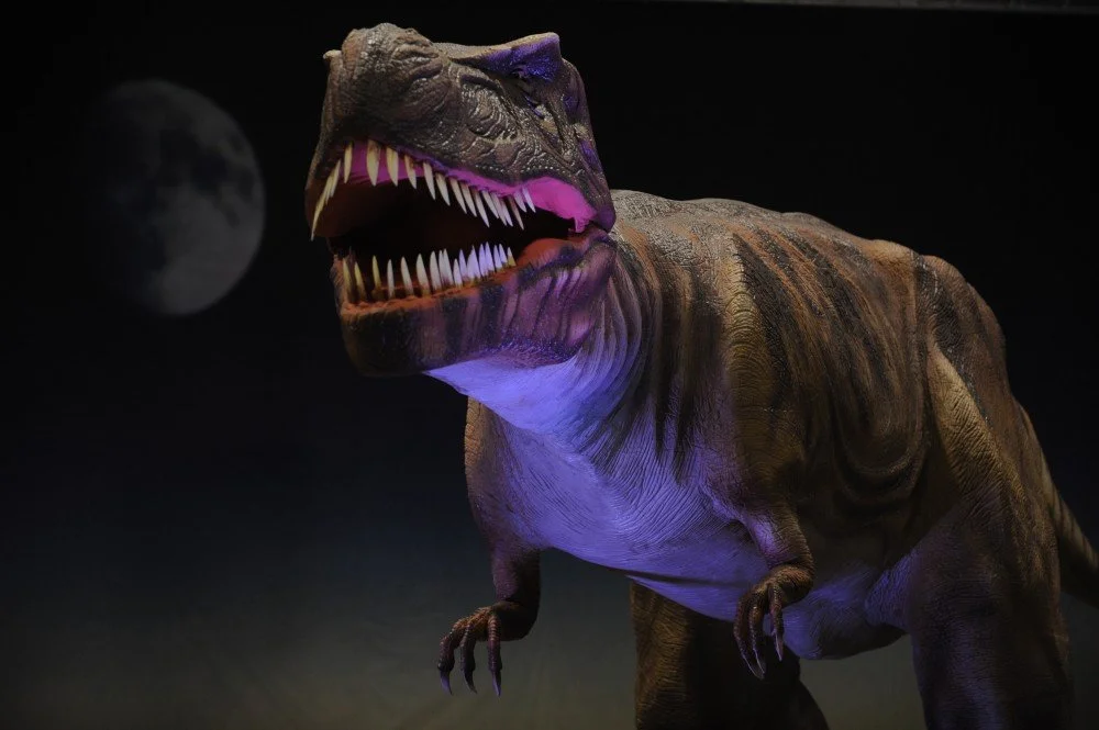 giganotosaurus-.jpg