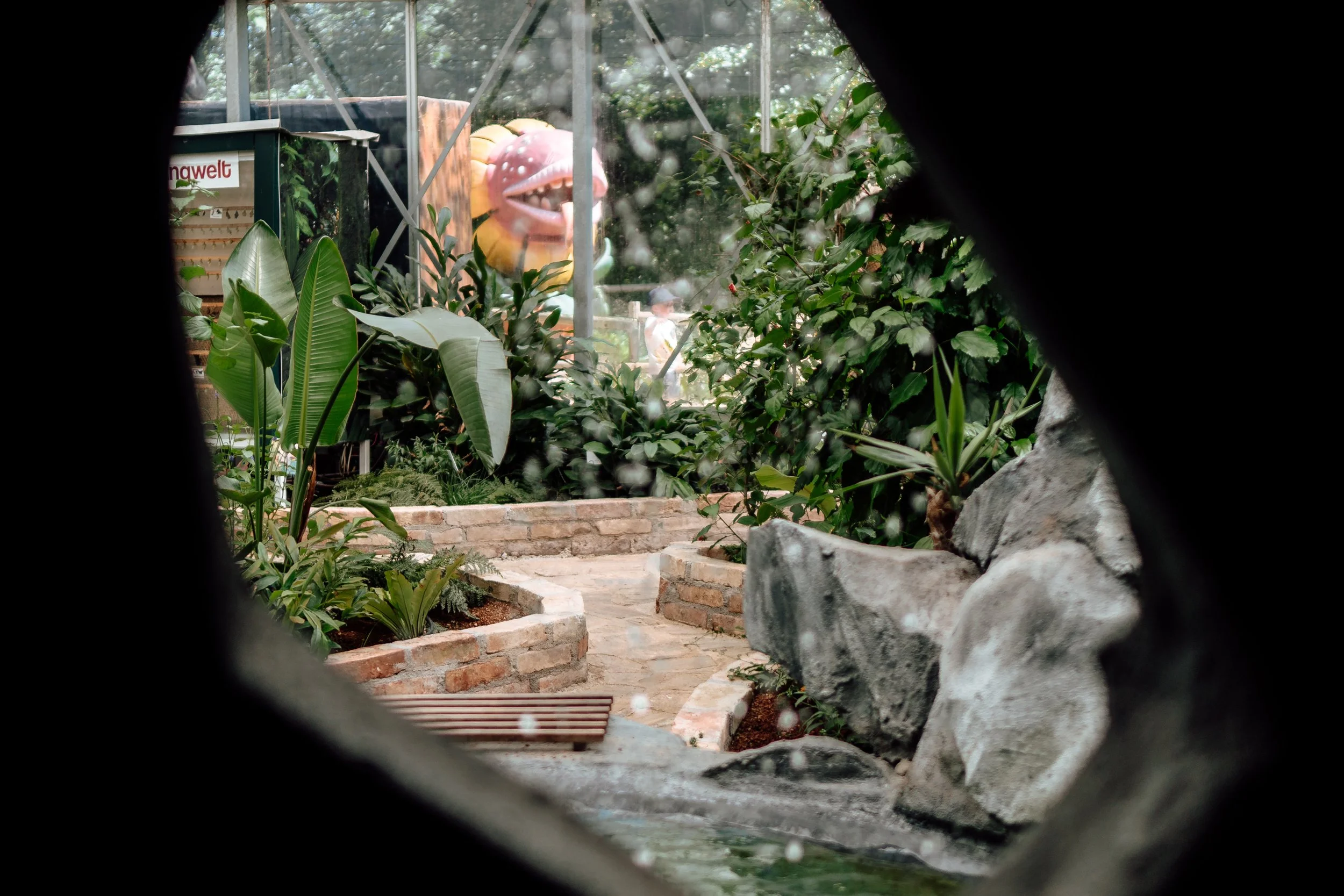 DumbaPark_054.jpg