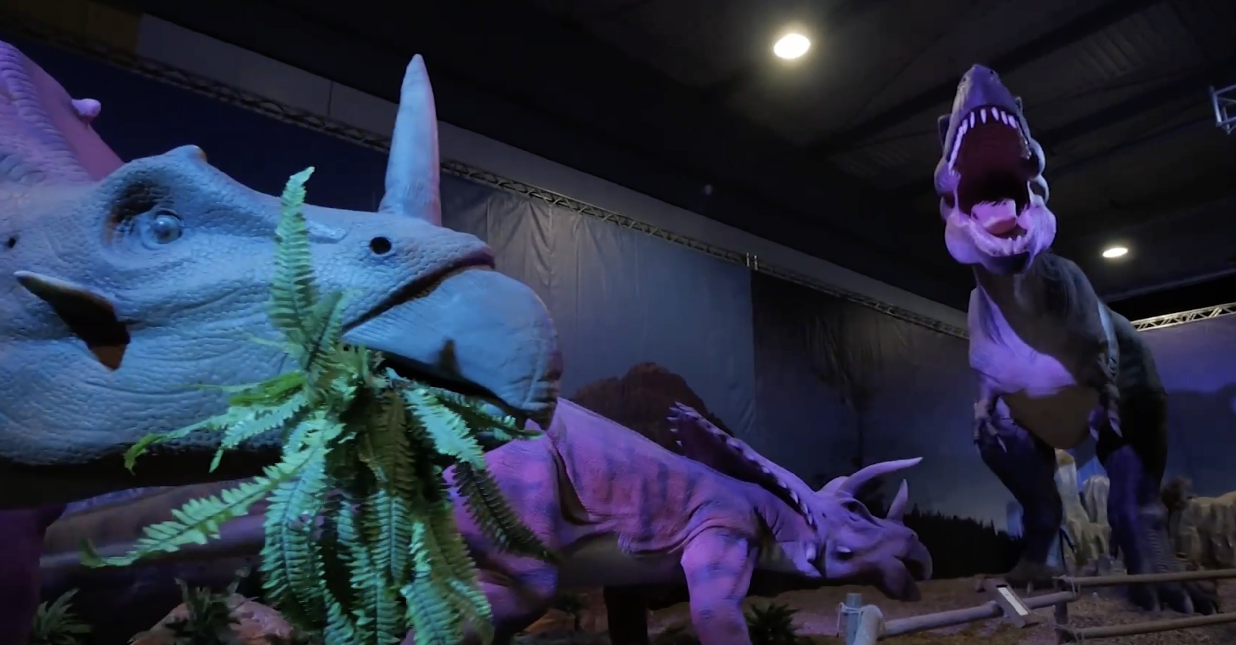 dinosaurs.png
