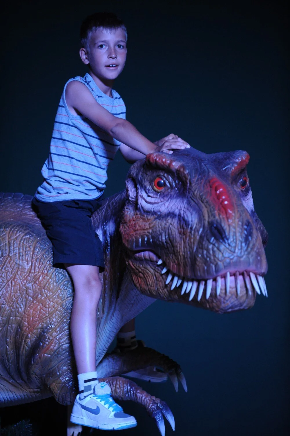 dino-photo-trex3.jpg