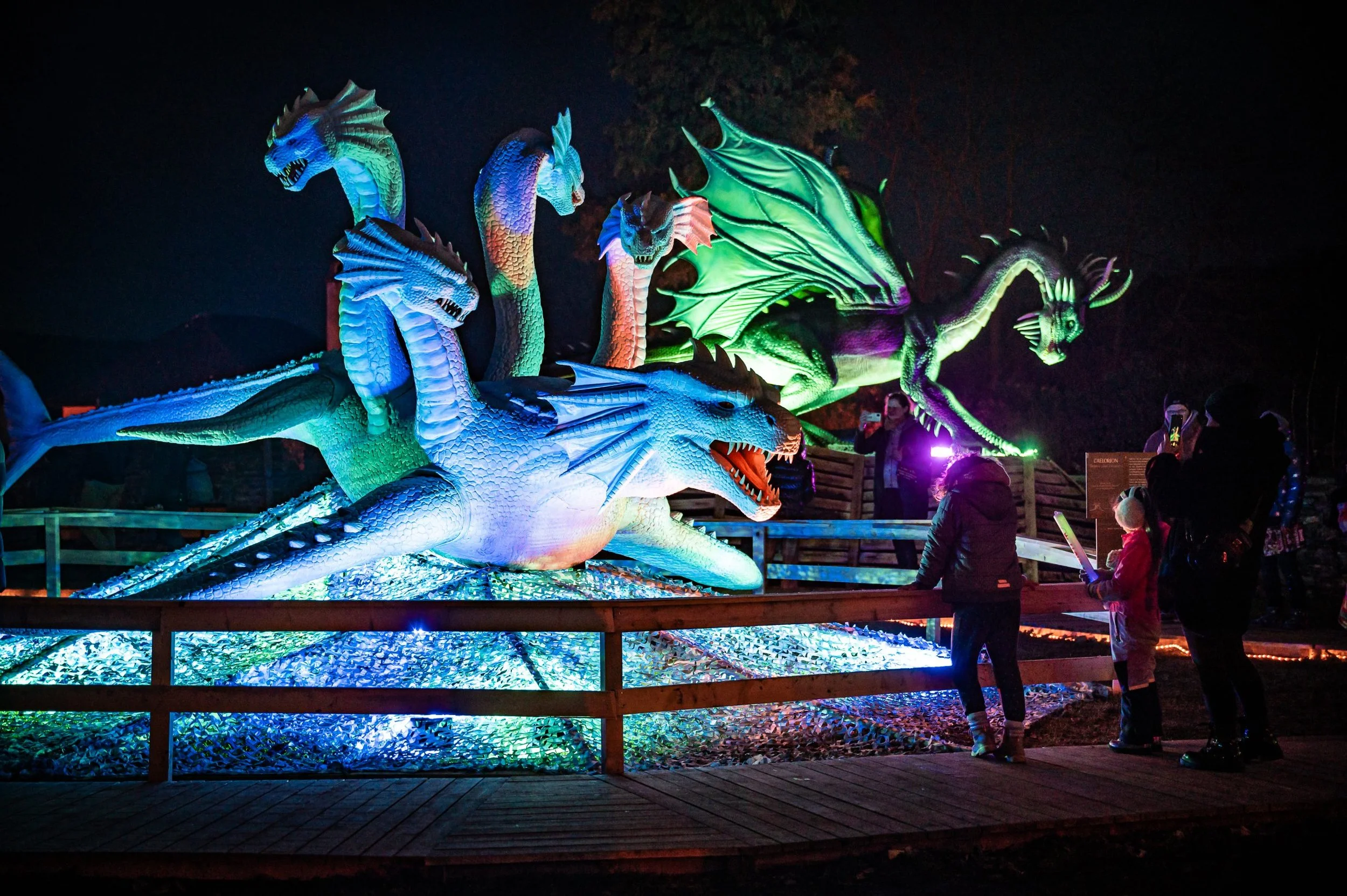 Game_of_Dragons_Leka_NJ_2023.12.31-34-scaled-1.jpg