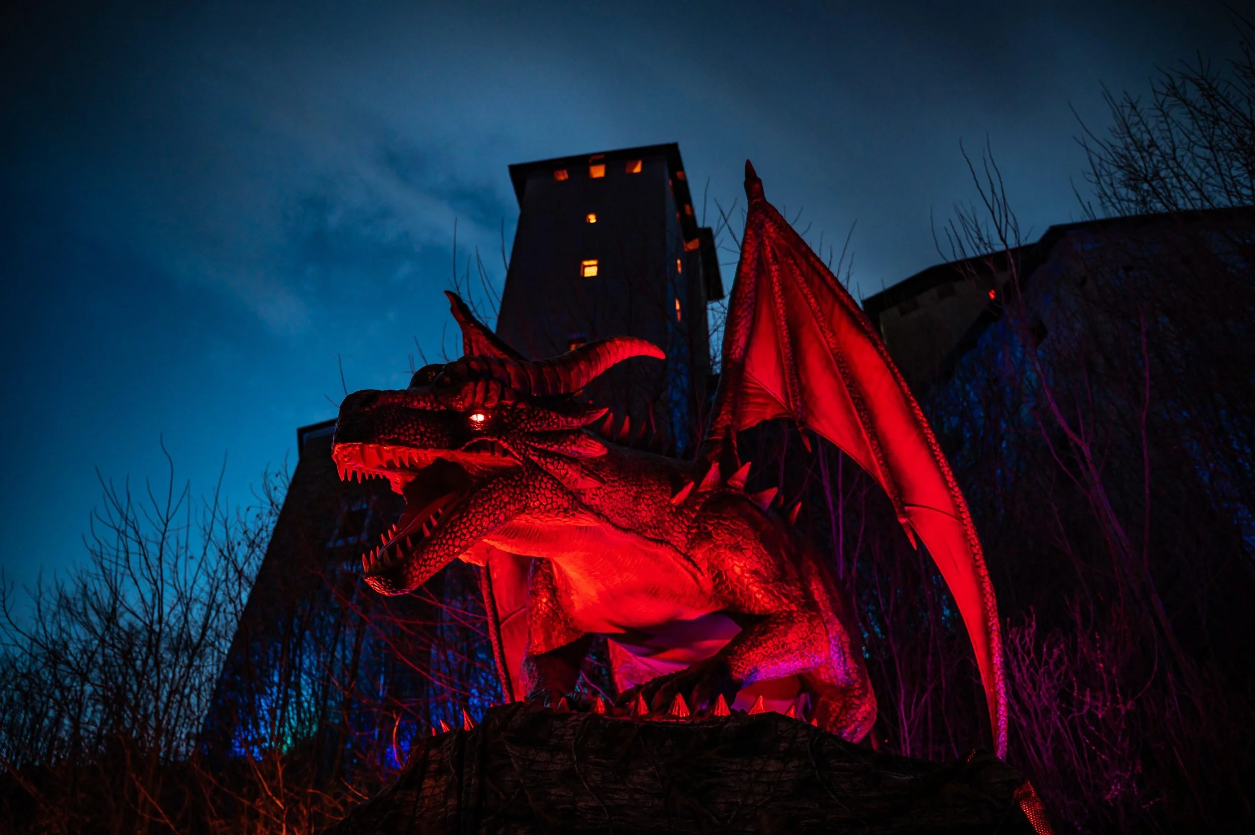 Game_of_Dragons_Leka_NJ_2023.12.31-21-scaled-1.jpg