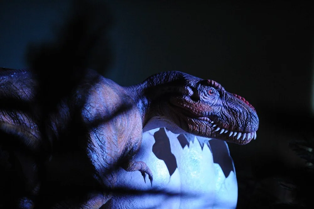dino-photo-TREX.jpg