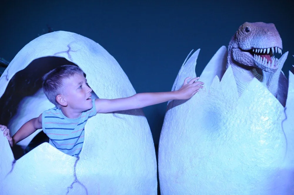 dino-photo-trex-egg.jpg