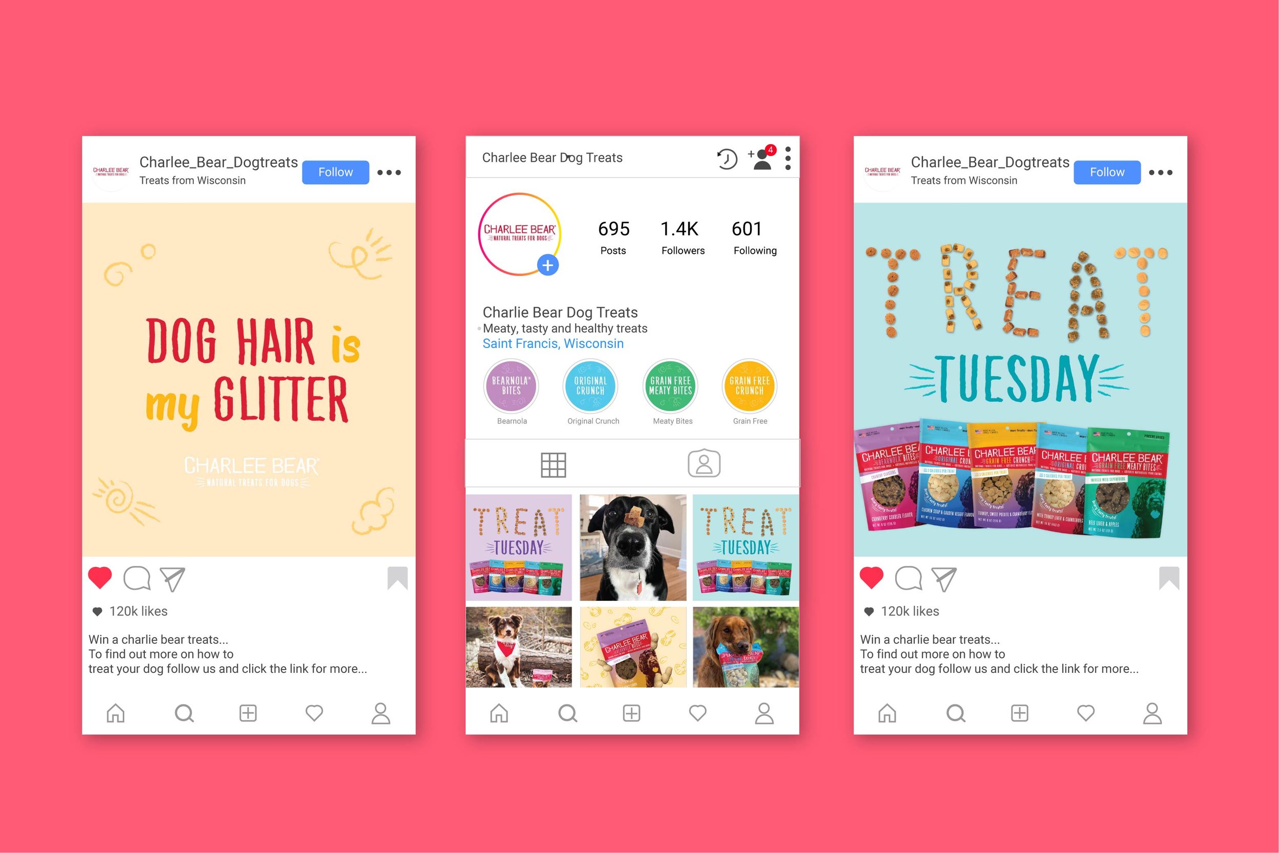 Charlie Bear Instagram Rectangle Posts-01.jpg