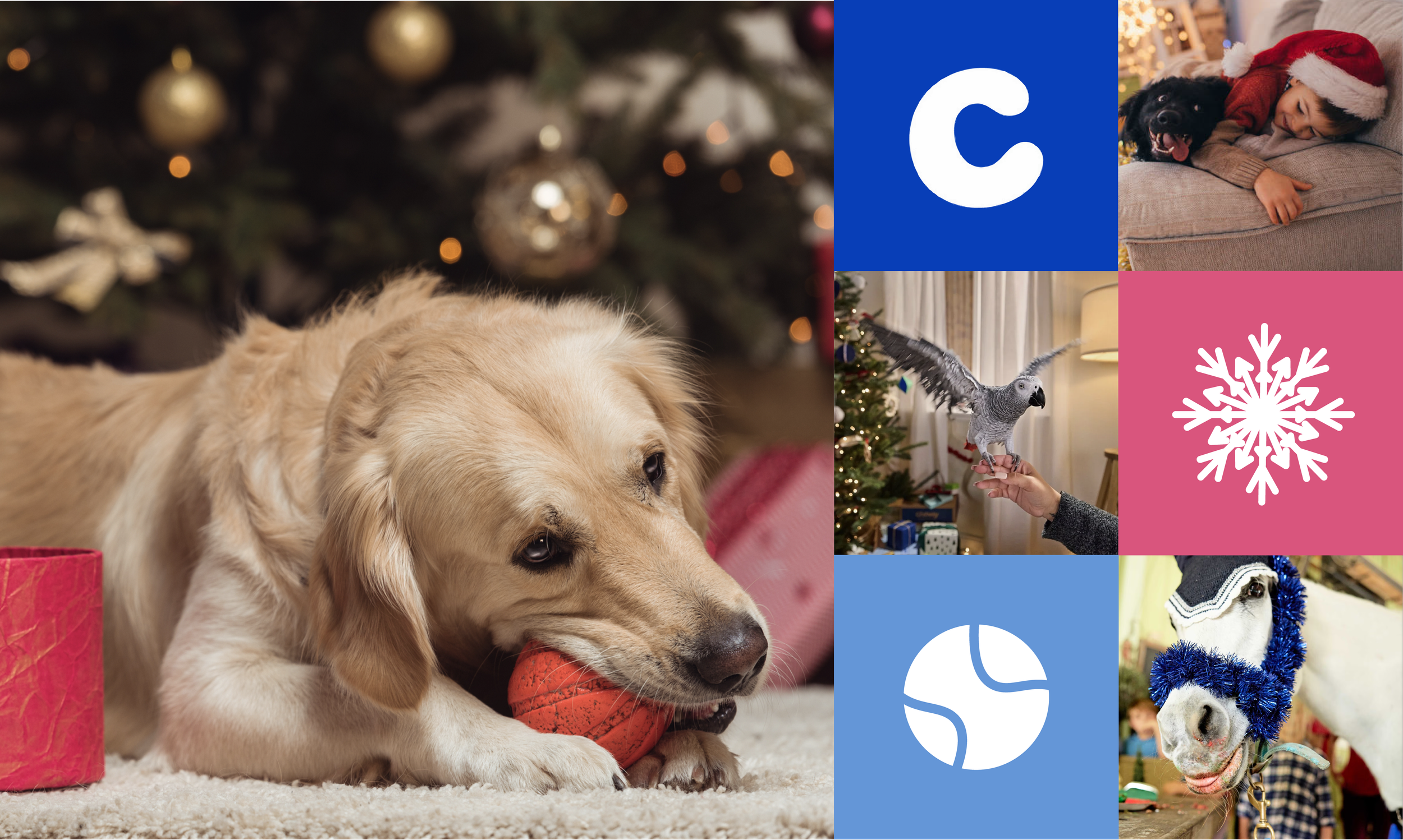 Chewy Claus Brief 2025-02.png