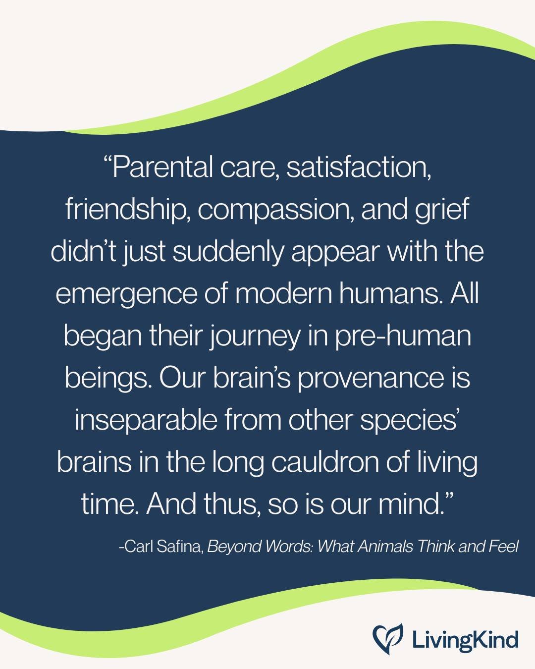 In Beyond Words: What Animals Think and Feel, Carl Safina reminds us that our capacity for love, grief, and compassion is not innately human, but deeply connected to who we are as animals.

Our mission at LivingKind is to empower the next generation 