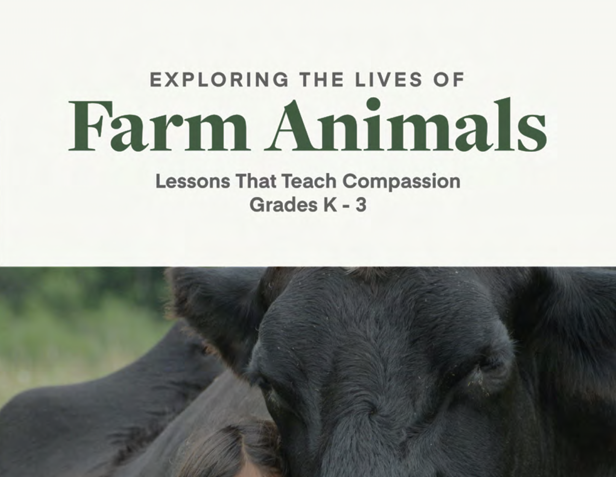 Exploring the Lives of Farm Animals