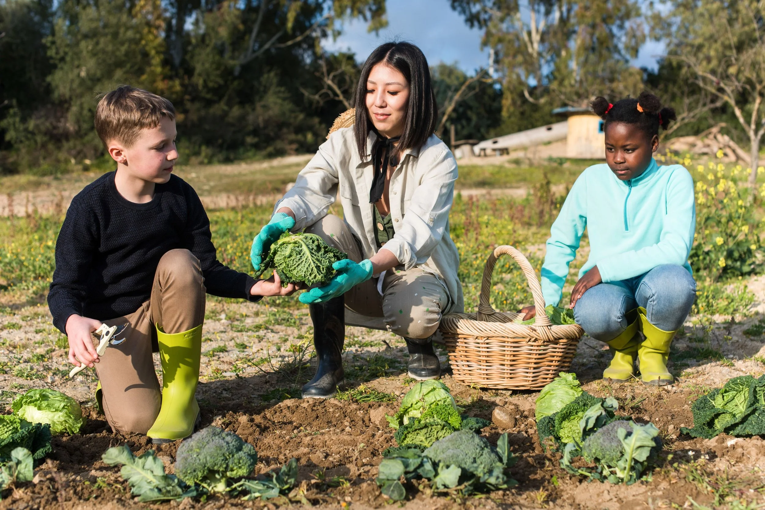 Teacher growing produce with students