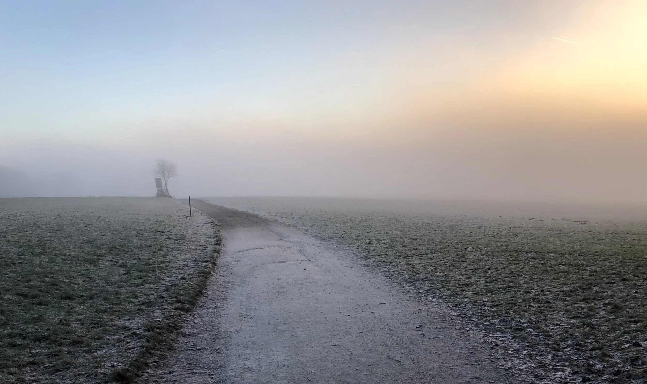 Ein verschneiter, mondheller Weg, der durch ein nebliges Feld führt, am Horizont ein einzelner Baum und eine kleine Hütte mit kahlem Baum, bei Sonnenaufgang oder -untergang.