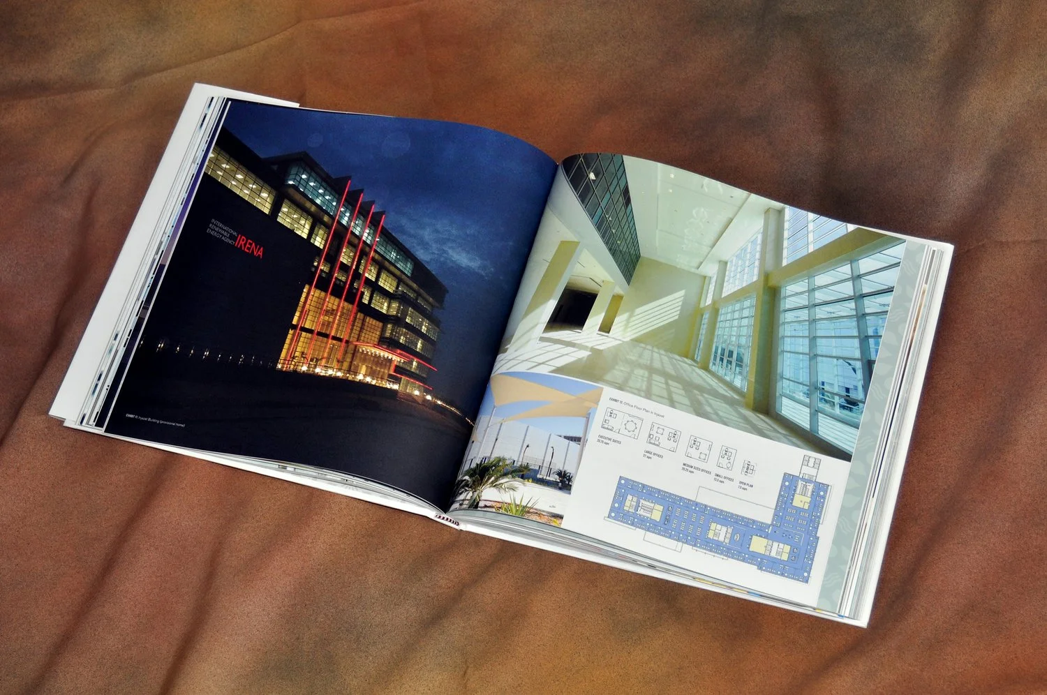 6_IRENA_7.jpg