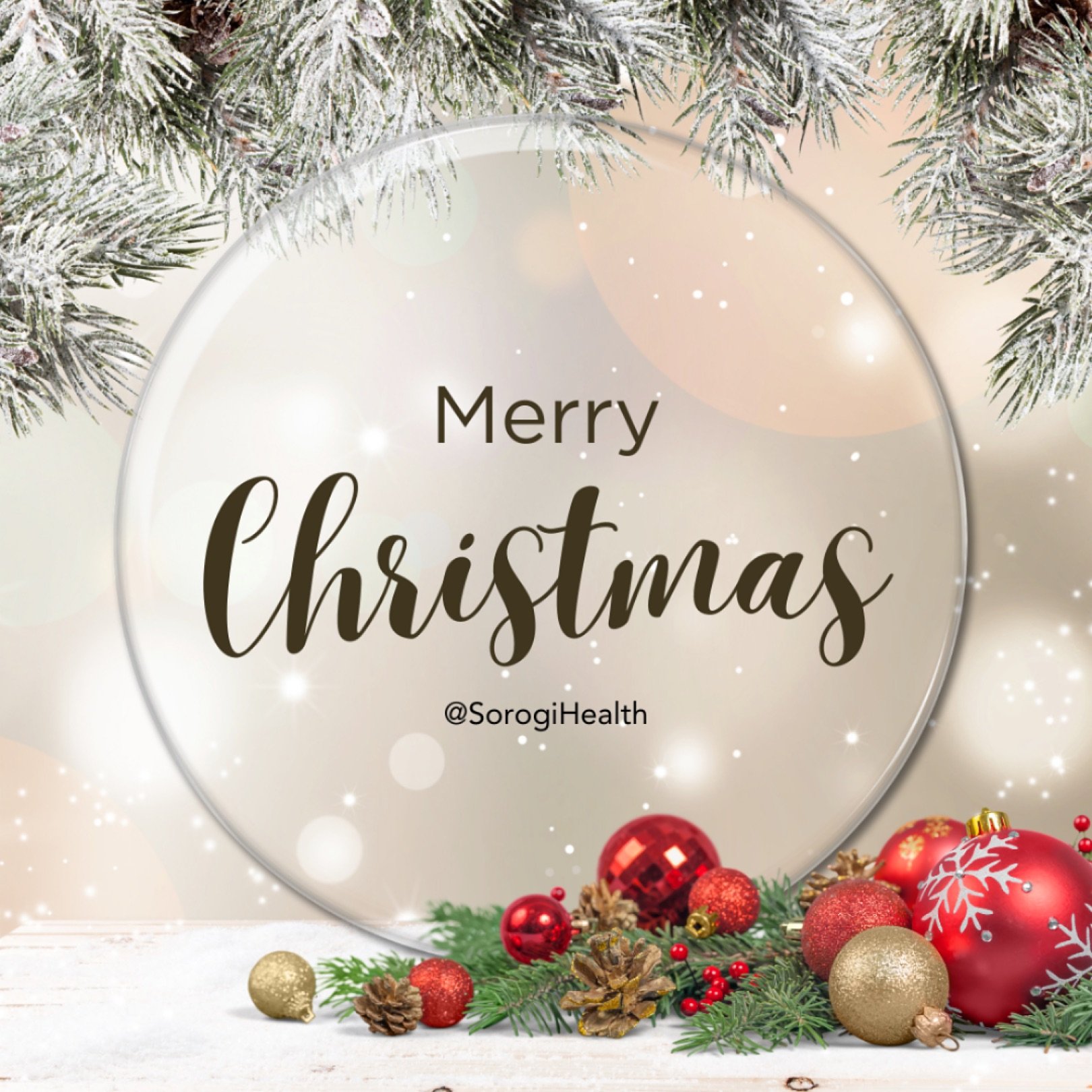 From the entire team at Sorogi, we want to wish you a very Merry Christmas. 🎄

Enjoy the special time with your loved ones. 😉