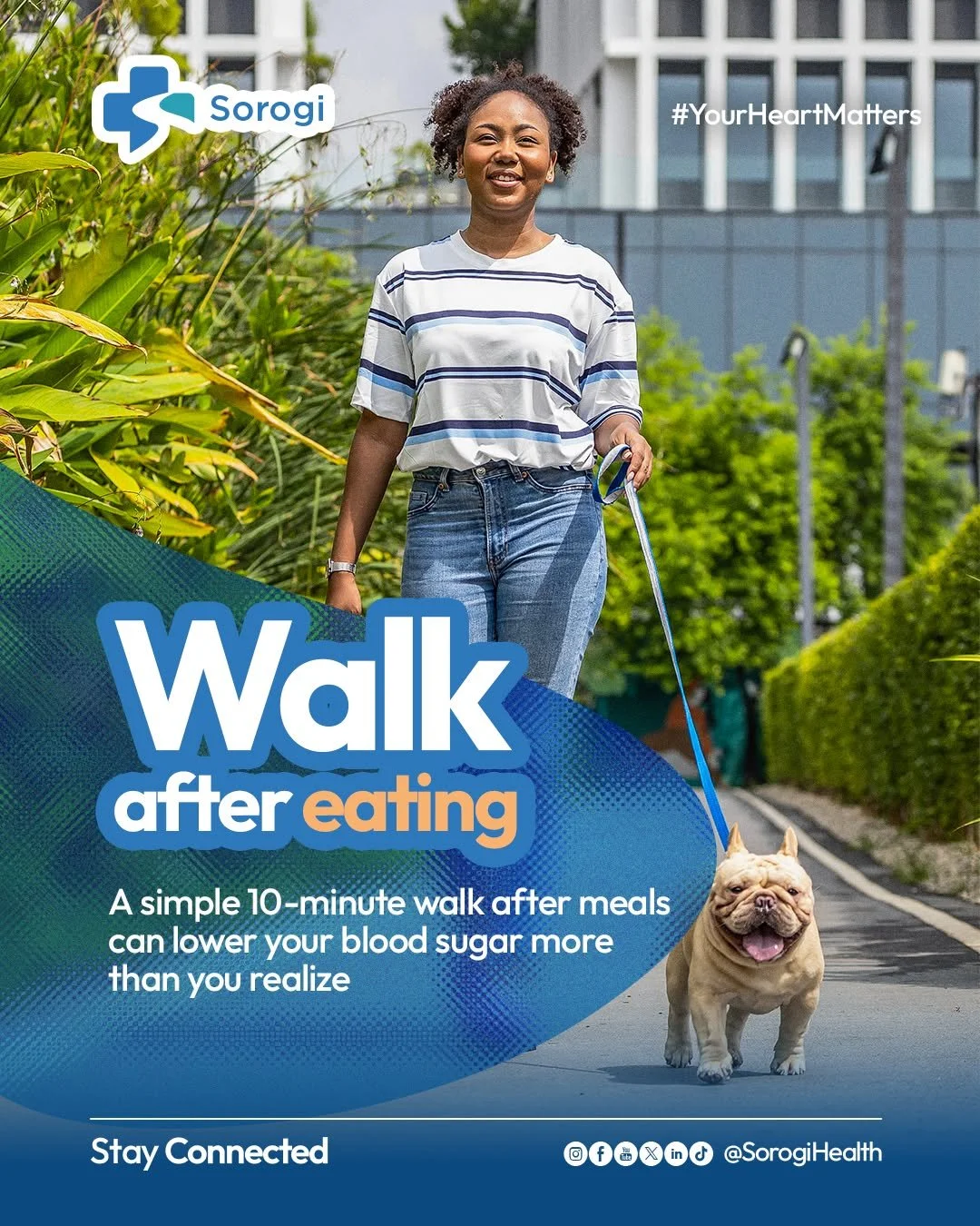 When you walk after eating, your muscles use glucose (sugar) for energy instead of letting it all stay in your bloodstream. This means your blood sugar doesn't spike as high, and it comes down more gently and steadily protecting your heart, energy le