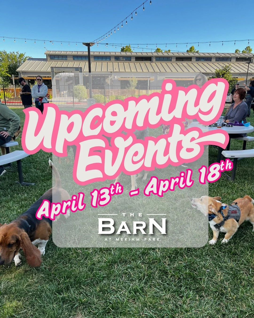 This week at The Barn: dogs, free live music, and brand new lawn games - oh my! Bring your crew (pups included), soak up the sunshine, and come play!

✨ Tuesday, April 14th - Dog Social (FREE / Friendly Dogs &amp; Humans Only)
✨ Friday, April 17th - 