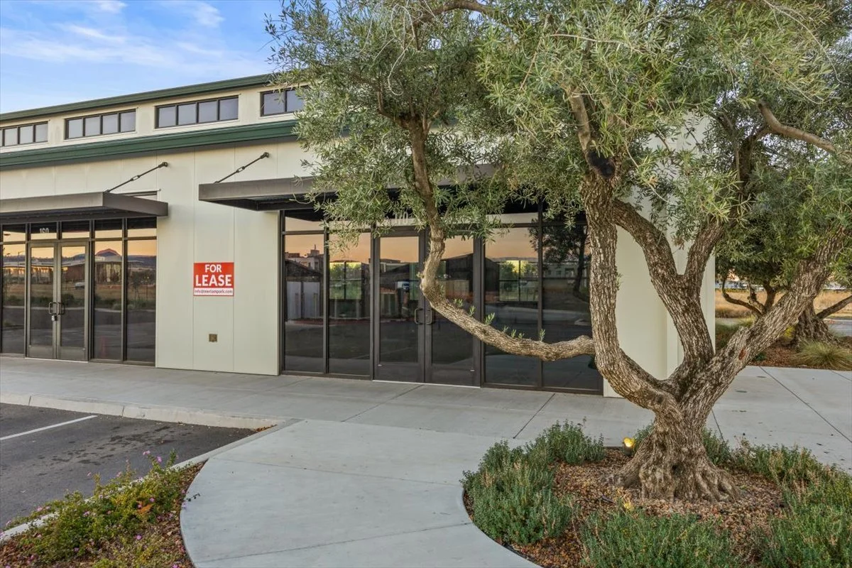 06-Meriam Park 12-12-2023-5.jpg