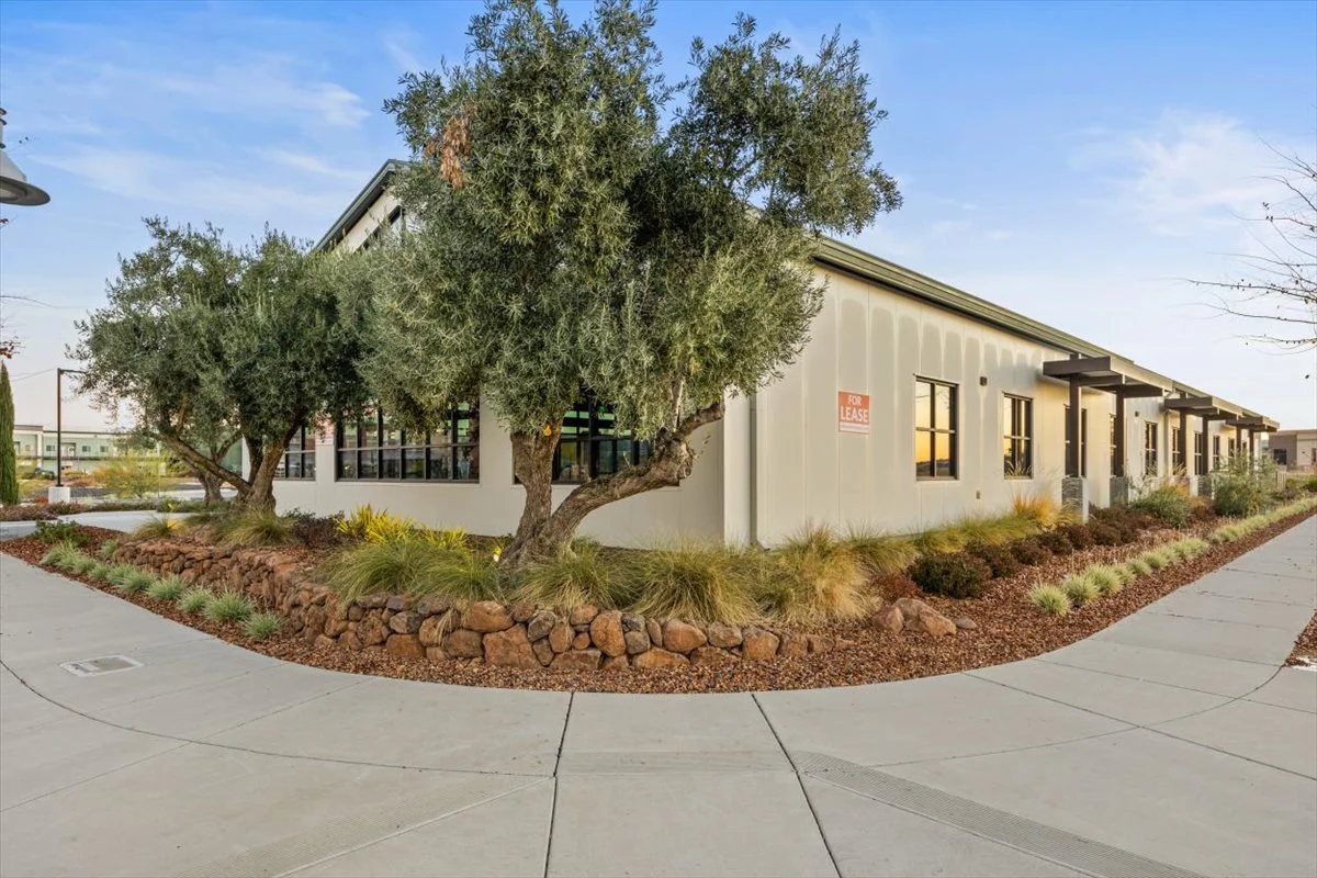 04-Meriam Park 12-12-2023-3.jpg