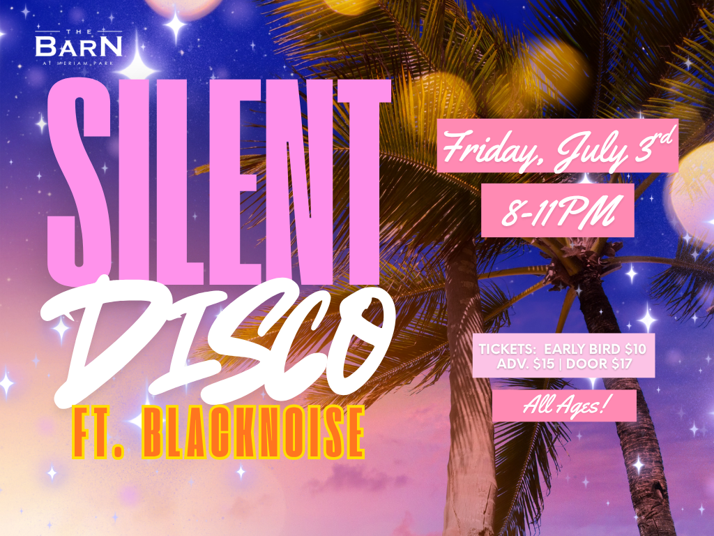 Silent Disco ft. Blacknoise