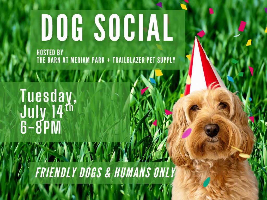 Dog Social