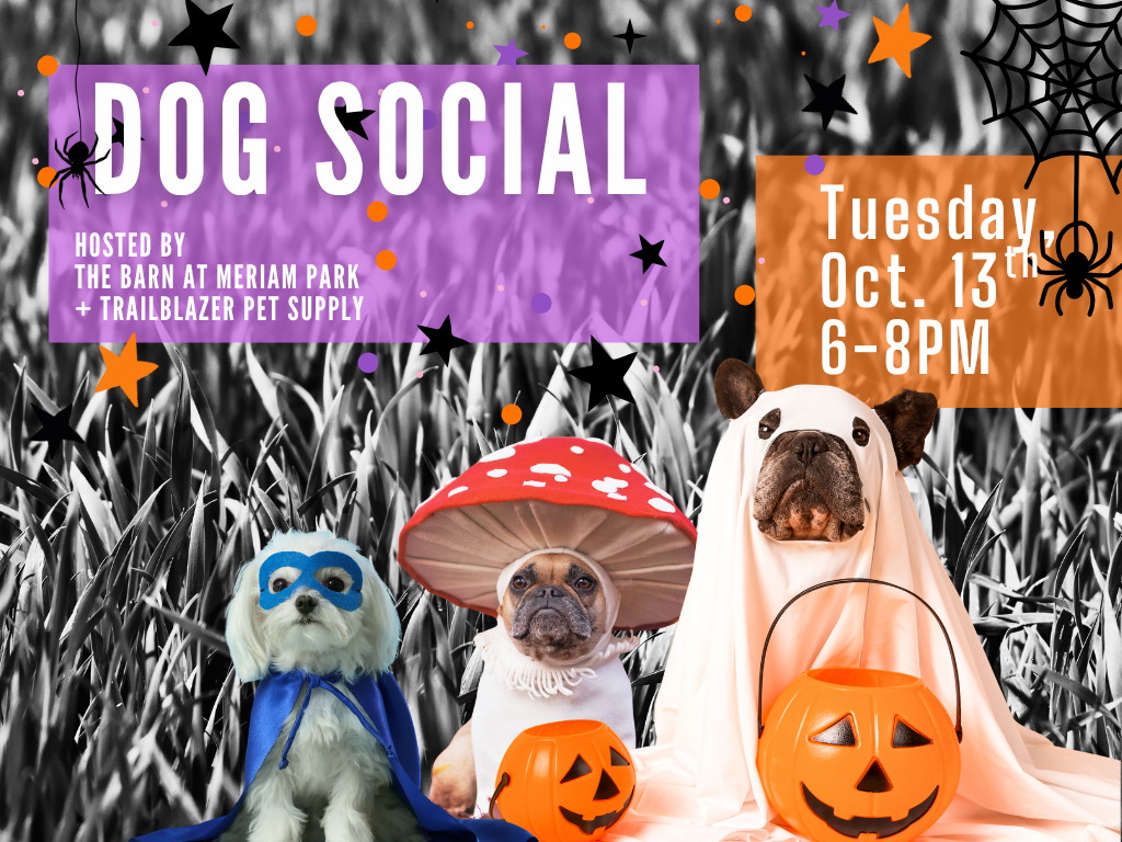 Dog Social
