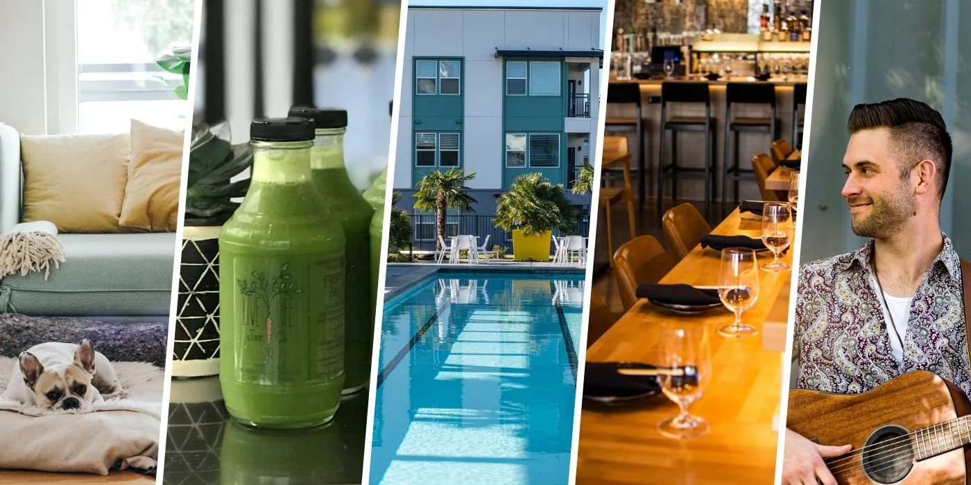 A collage of five images featuring a cozy living room with a dog, bottles of green juice, a swimming pool surrounded by palm trees, a restaurant table set with wine glasses, and a man playing guitar.