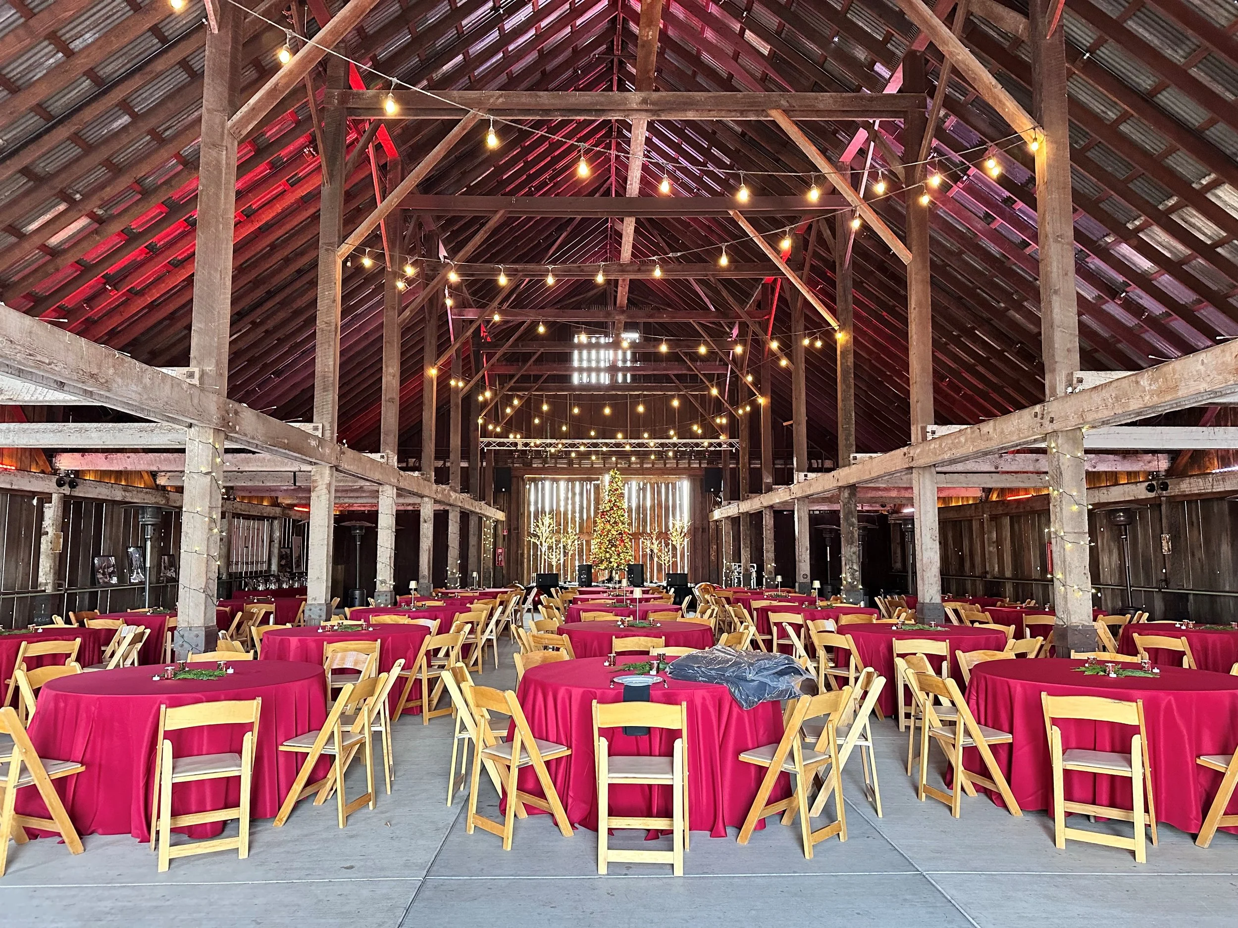 Barn interior decorated for a Christmas celebration with round tables covered in red tablecloths, chairs, and a Christmas tree at the far end, with string lights hanging from the ceiling.