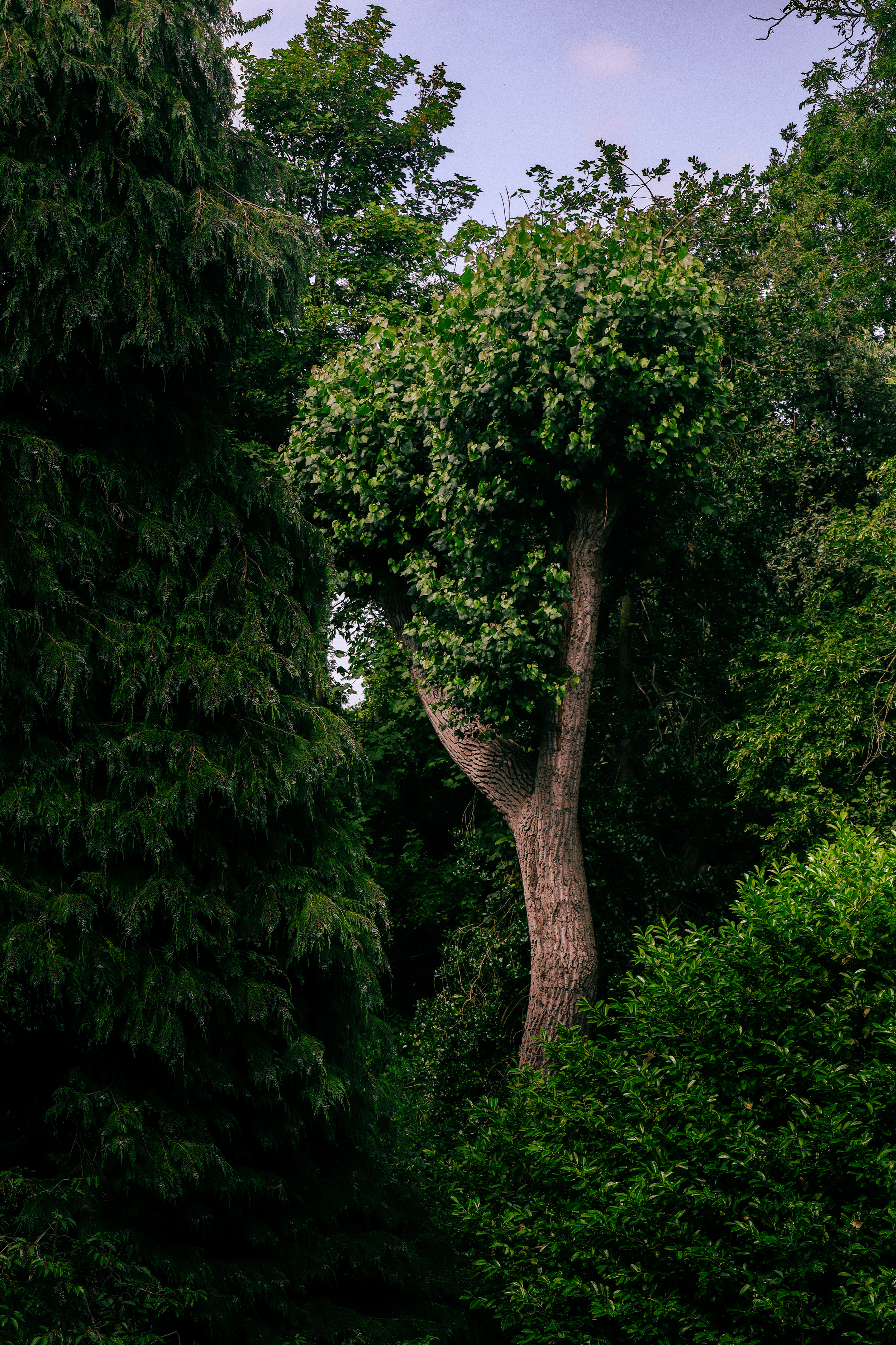 IMG_5177.png