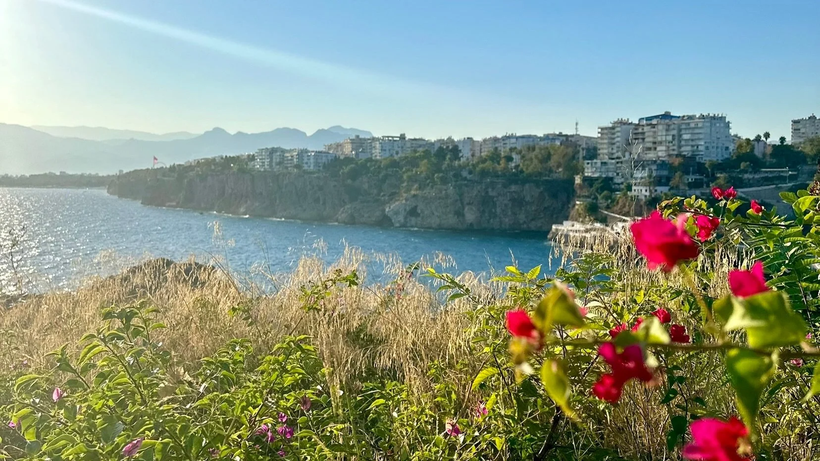 A scenic view of a river with a rocky cliffside and modern buildings on top, framed by pink flowers and golden grass in the foreground, with mountains in the distance under a clear blue sky.