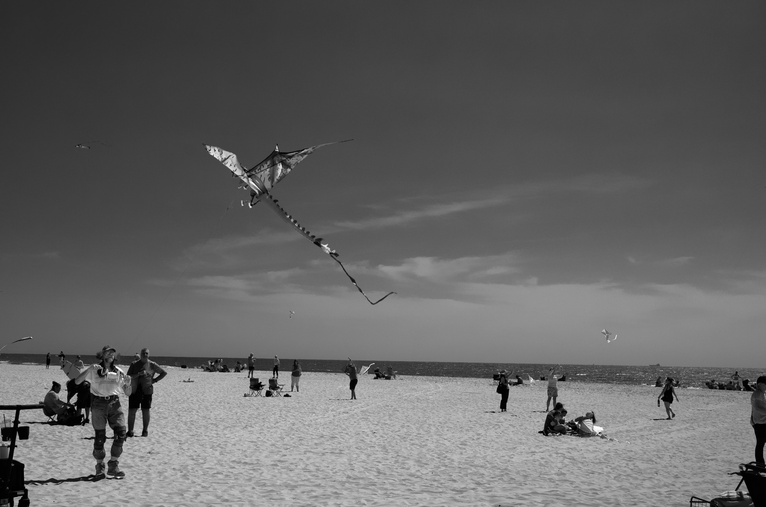 L1000526.jpg