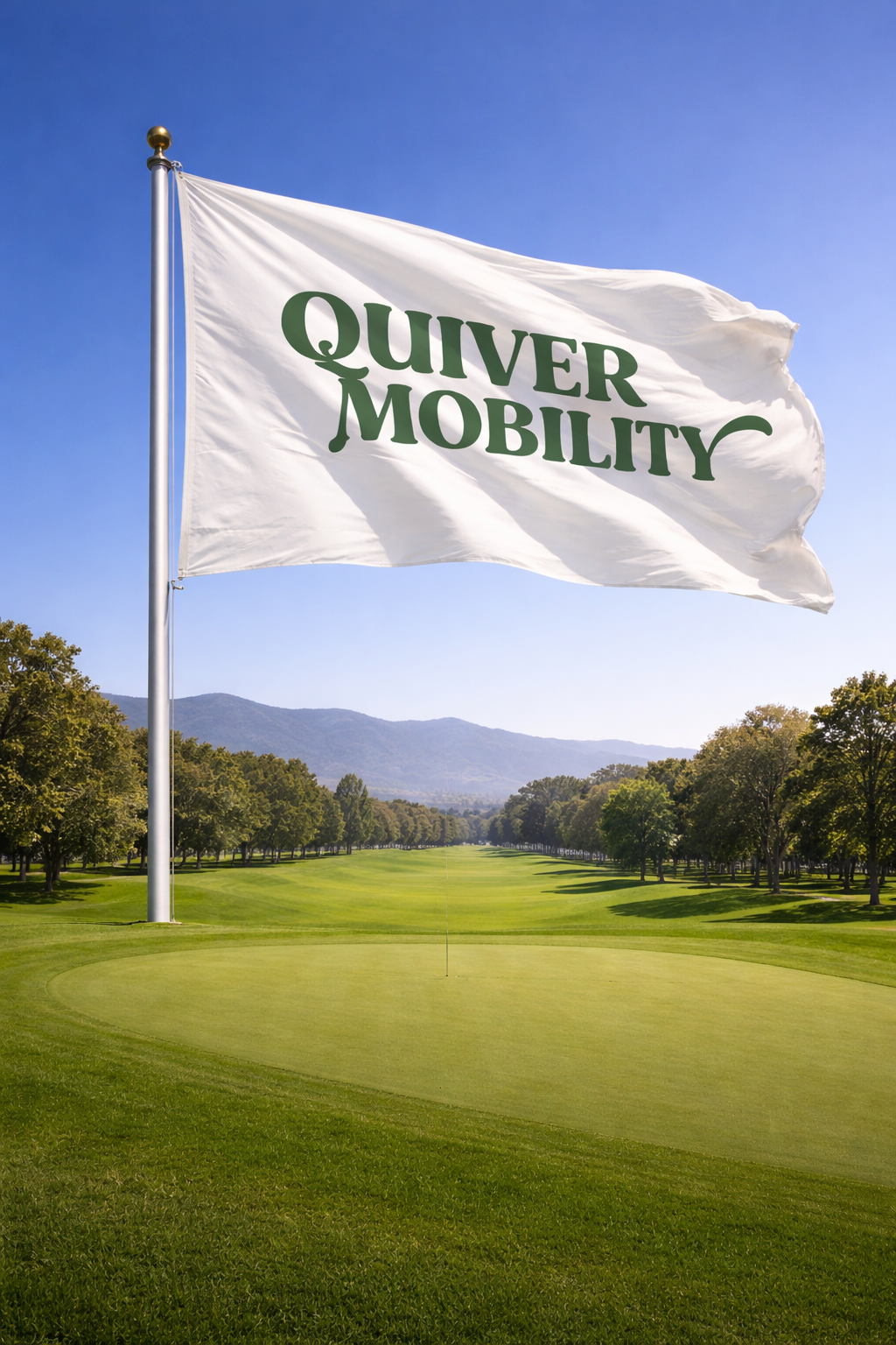 Quiver44.png