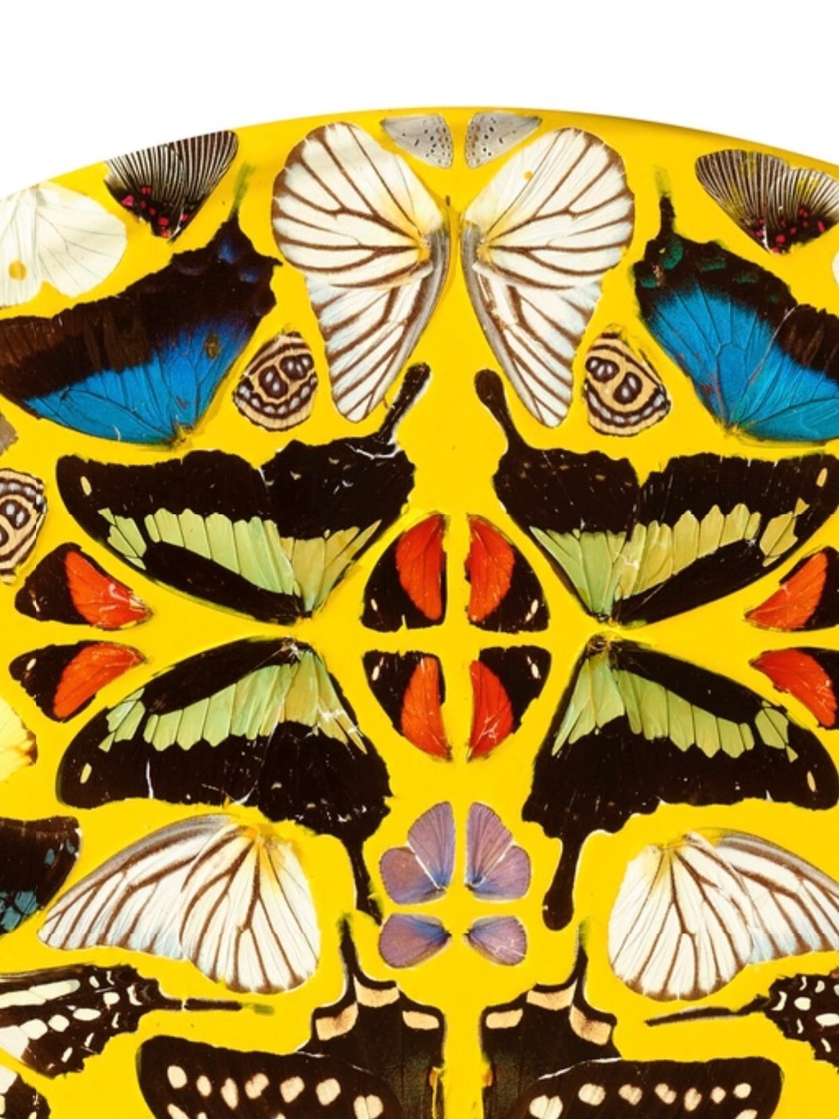So happy to send this Damien Hirst butterfly painting home to my client!