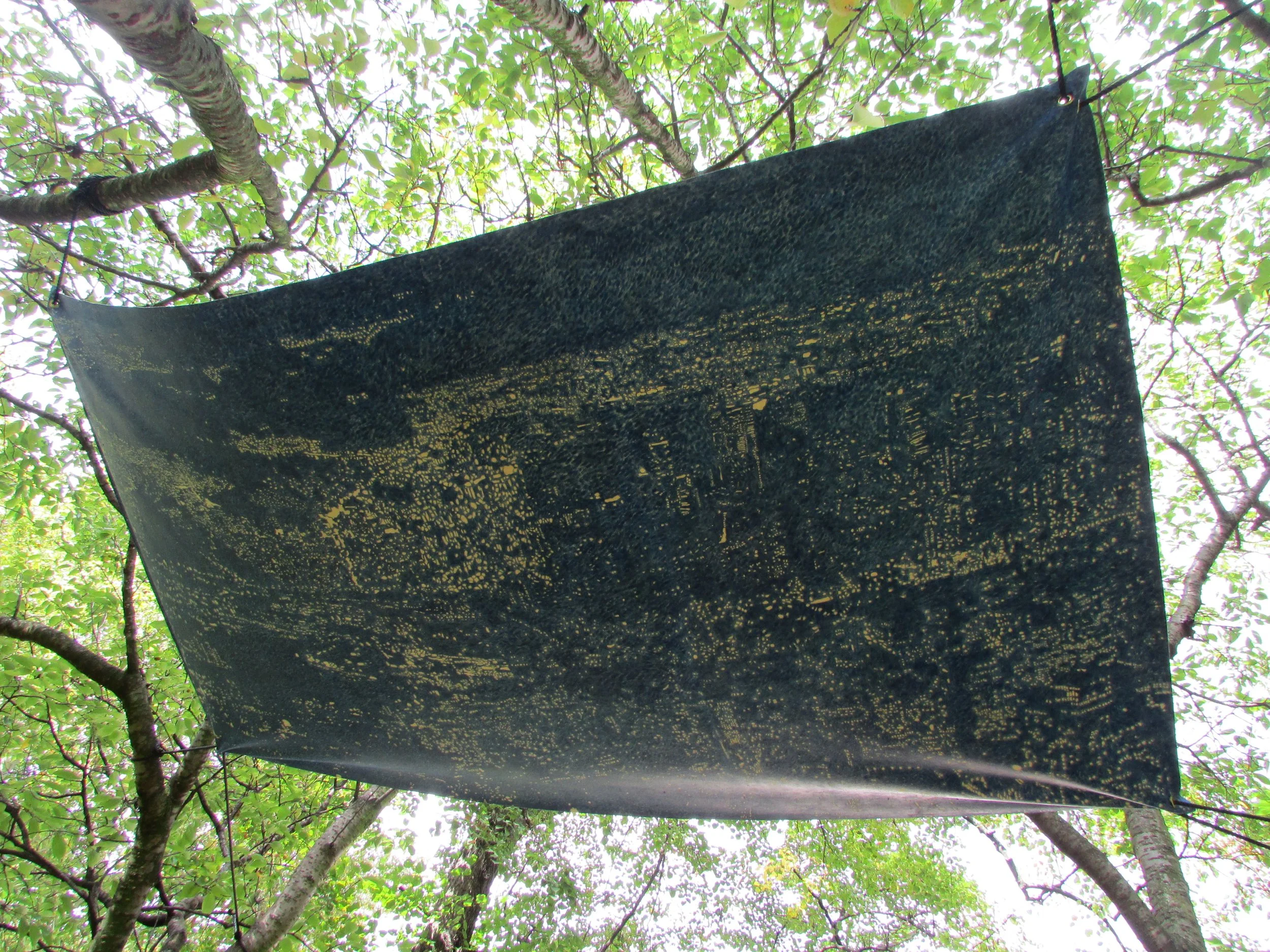 Canopy (Beijing – Rio de Janeiro – London – Hong Kong), part of an ongoing series