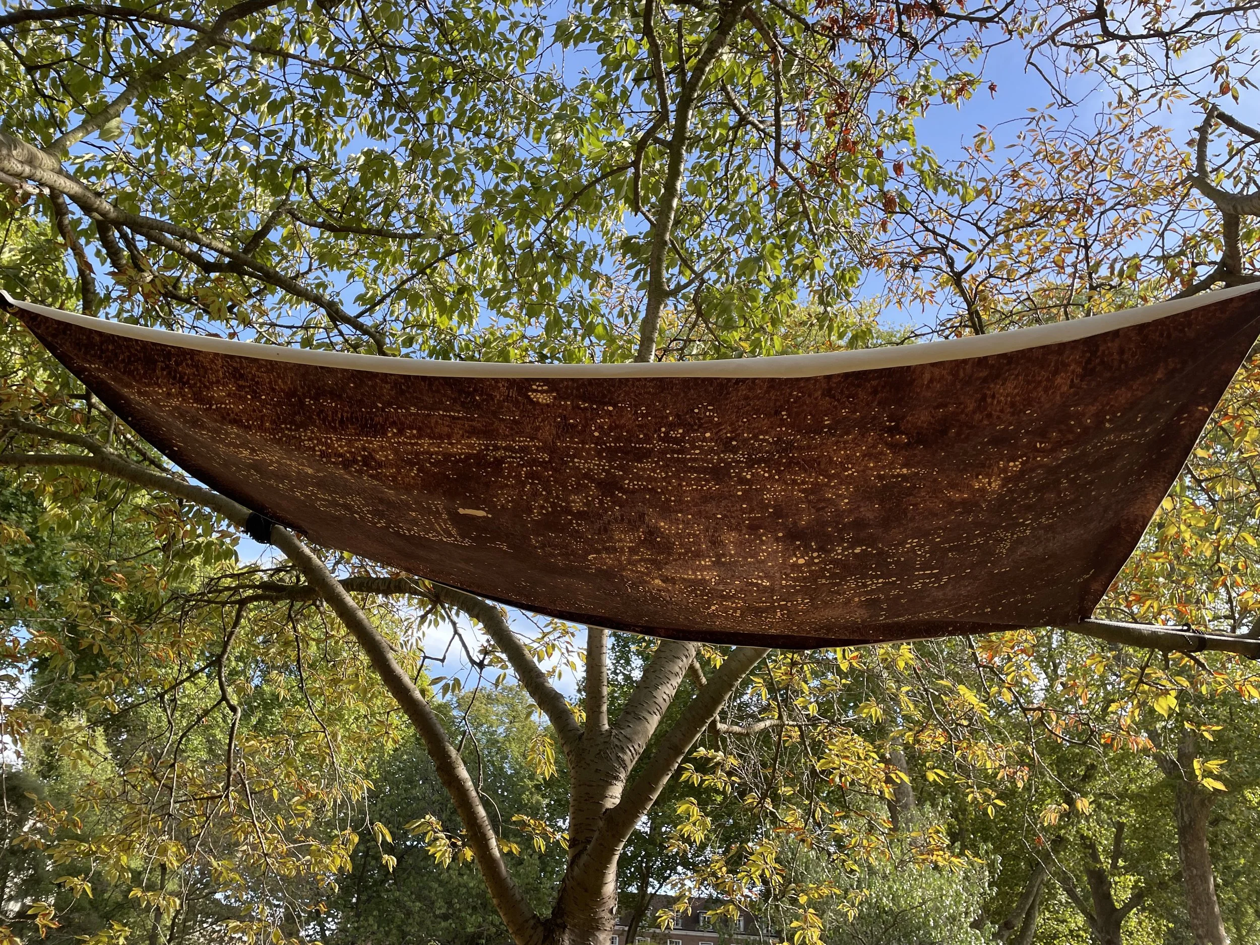 Canopy (Caracas–Washington–Tehran–Beirut–Beirut)