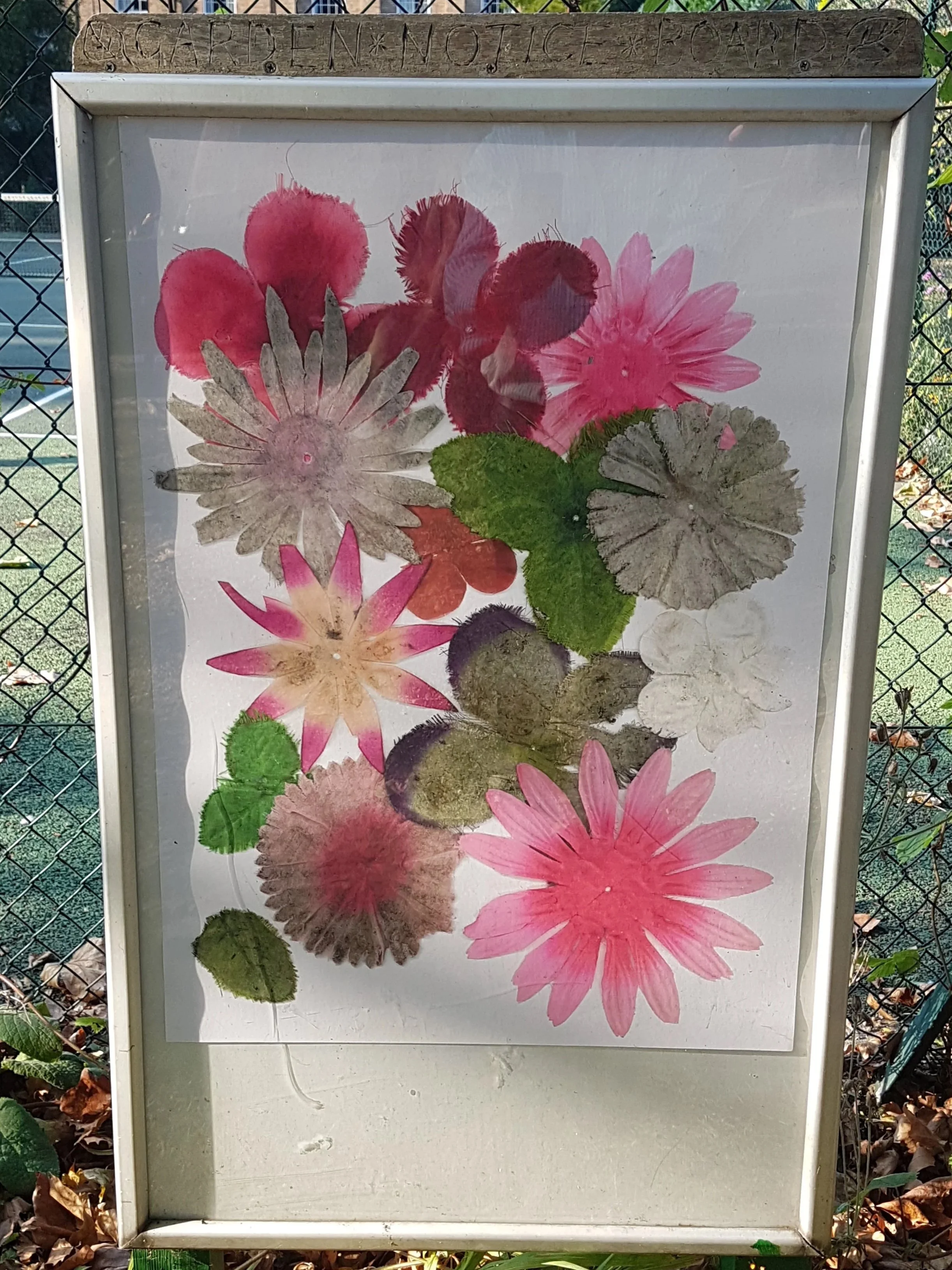 An arrangement of found artificial flowers affected by natural processes