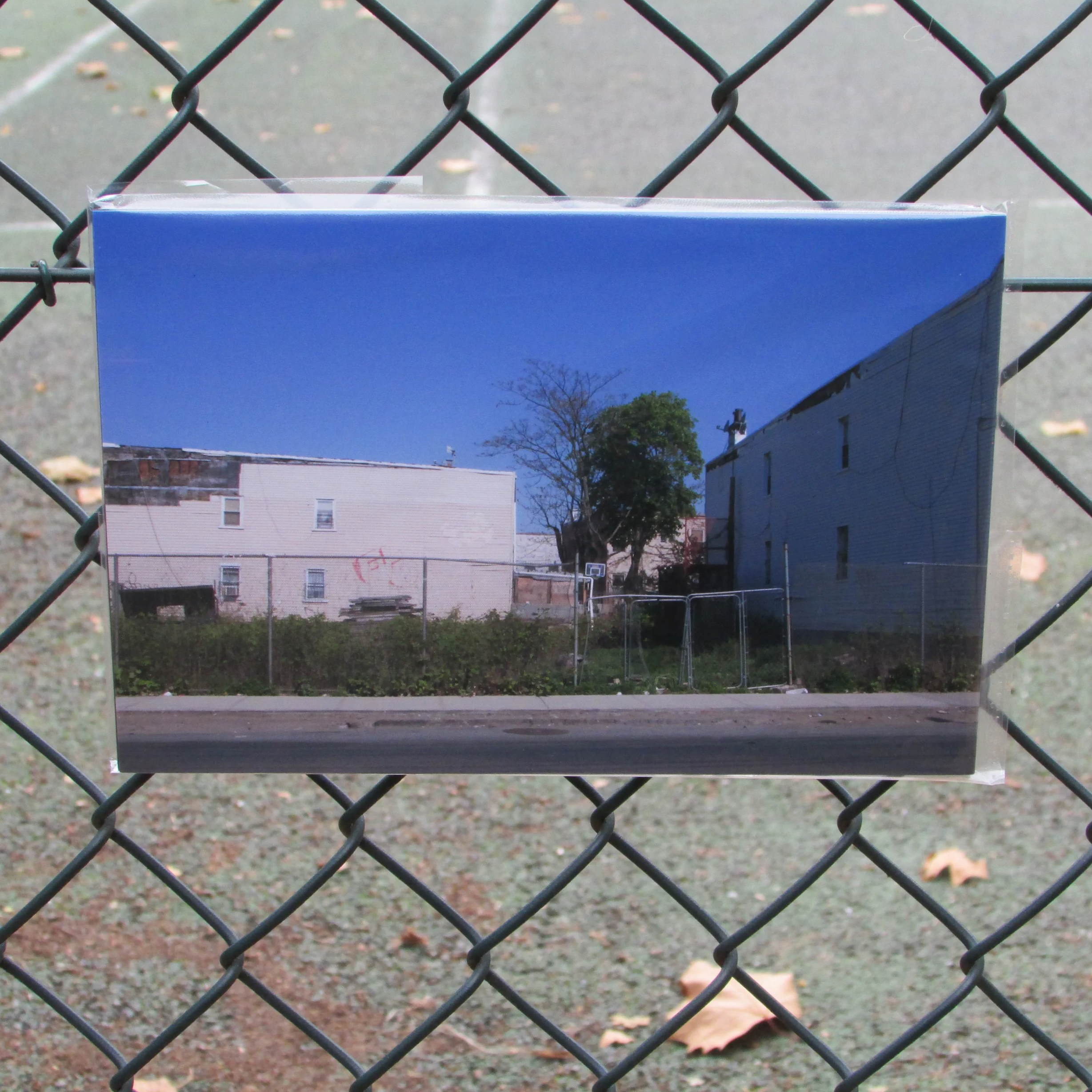 Feral Landscape Typologies