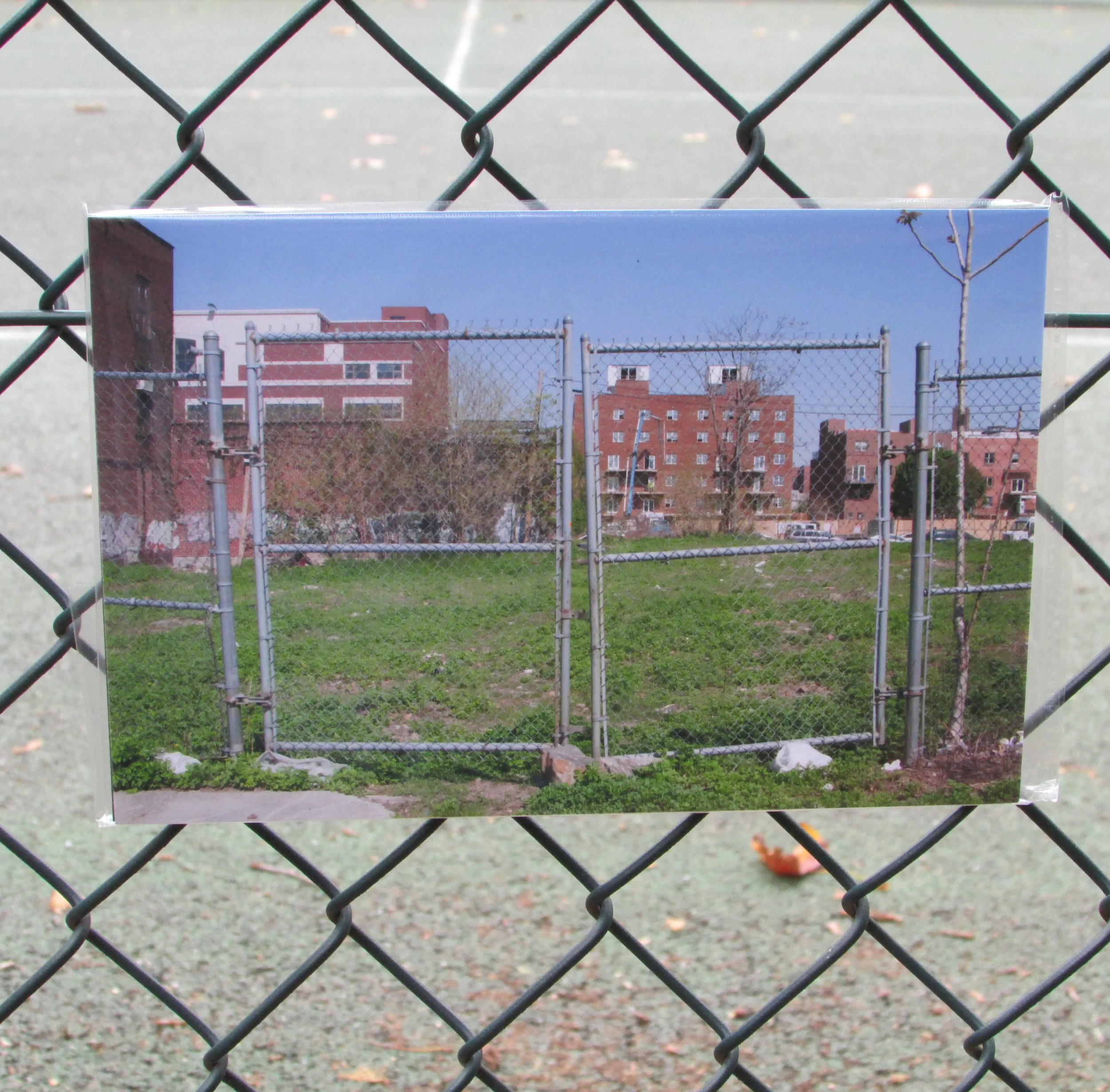 Feral Landscape Typologies