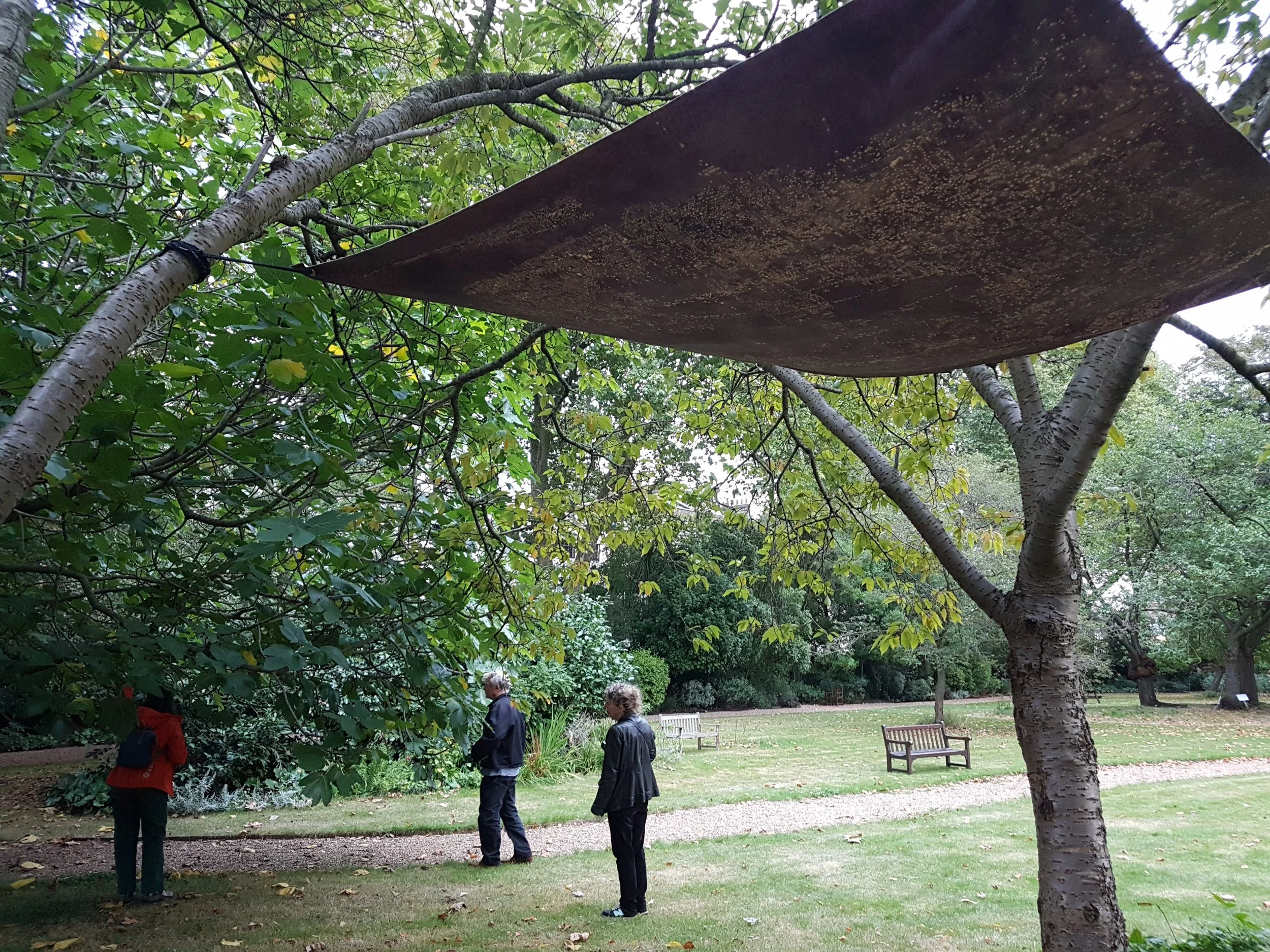 Canopy (Lhasa–Toronto–Tunis–Bridgetown)