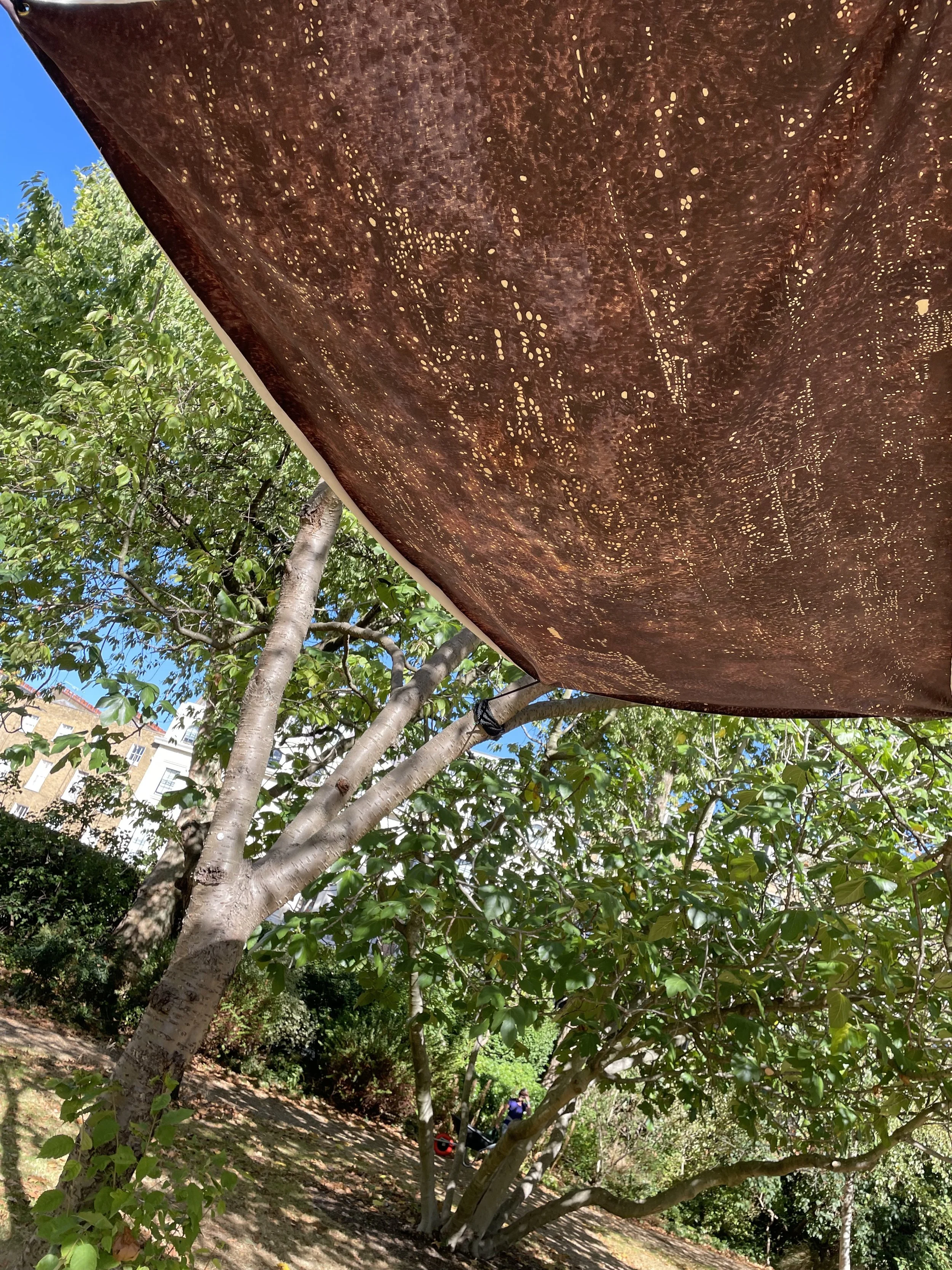 Canopy (Caracas–Washington–Tehran–Beirut–Beirut)
