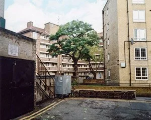 from Urban Forest