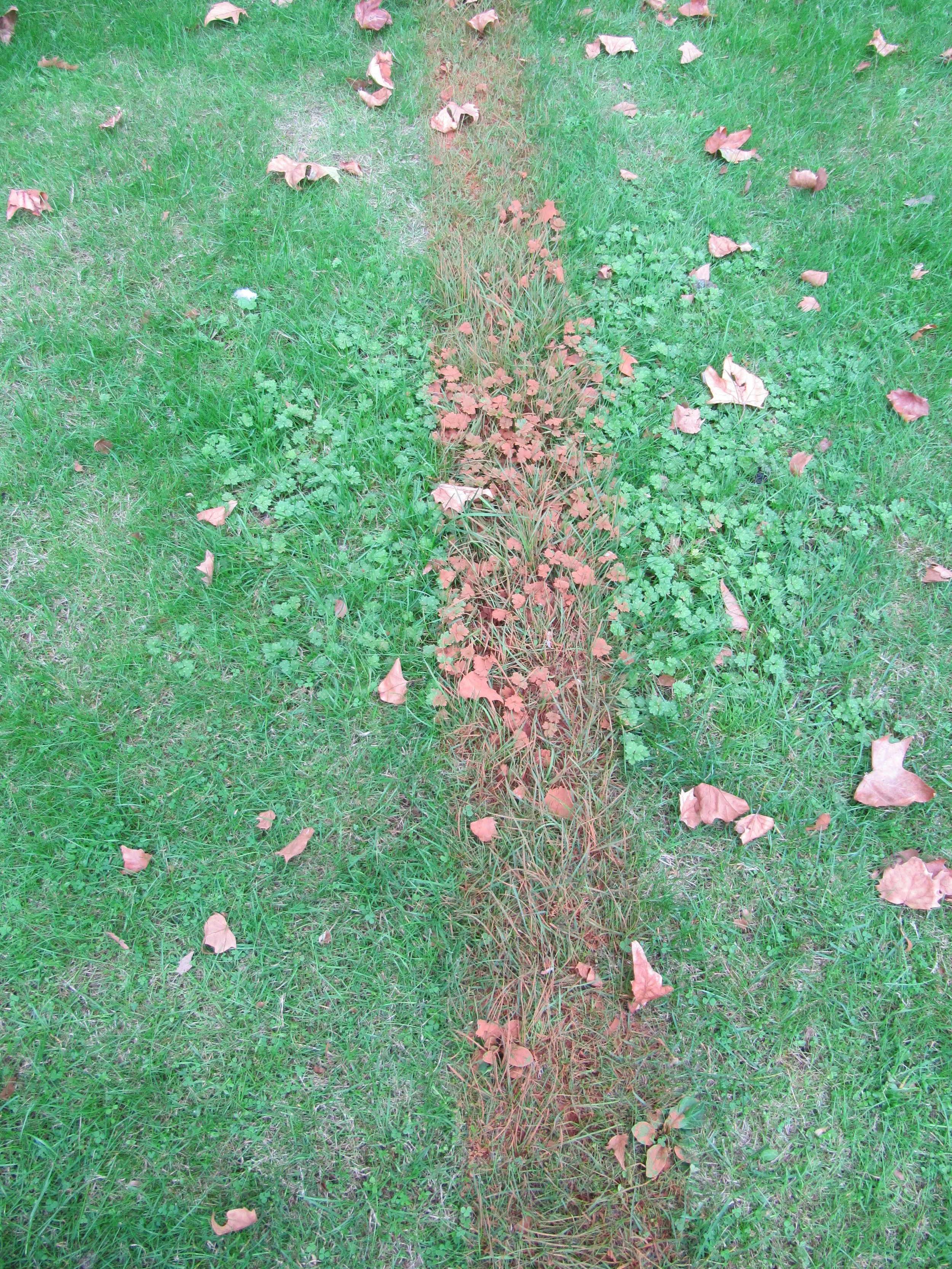 Red Line